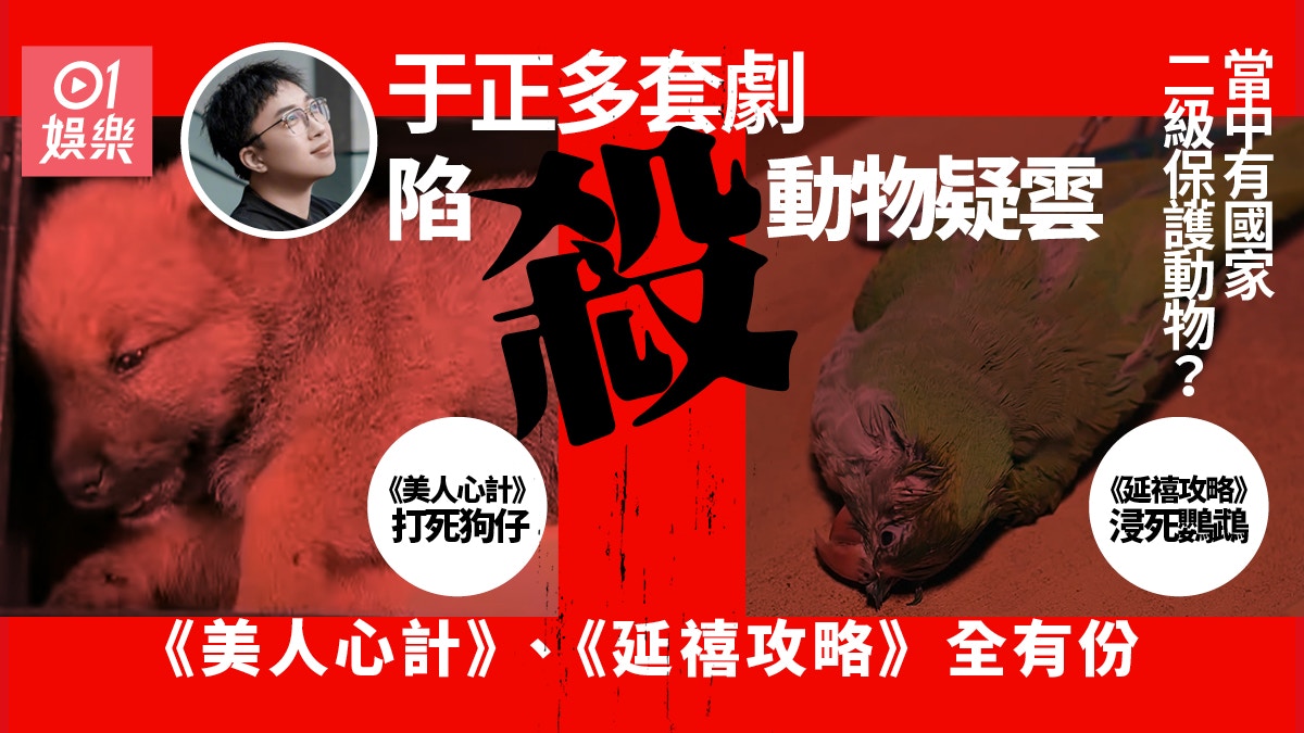當家主母 | 于正被翻「殺」動物舊賬　爆劇組人員確認貓拍完已死