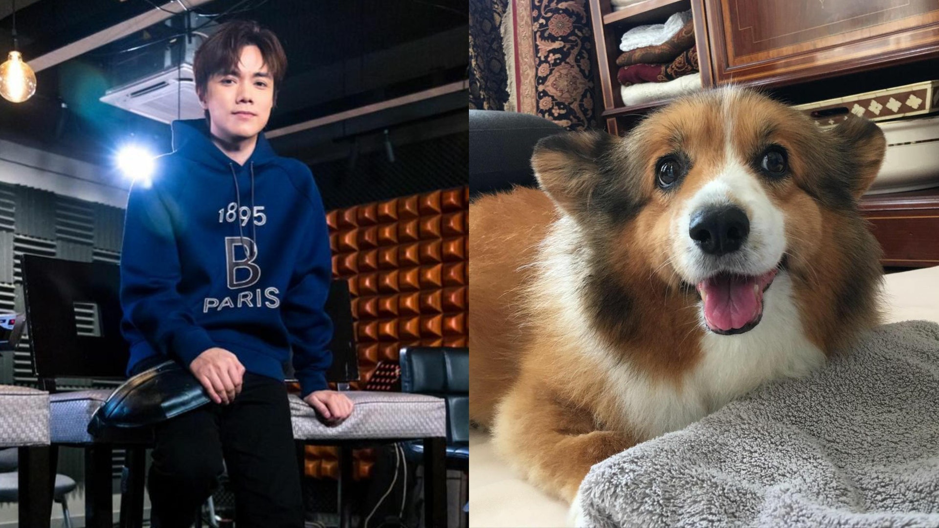 張敬軒愛犬「妹妹」離世 感性發長文悼念:佢由細到大都好勇敢 張敬軒愛犬「妹妹」離世 感性發長文悼念:佢由細到大都好勇敢