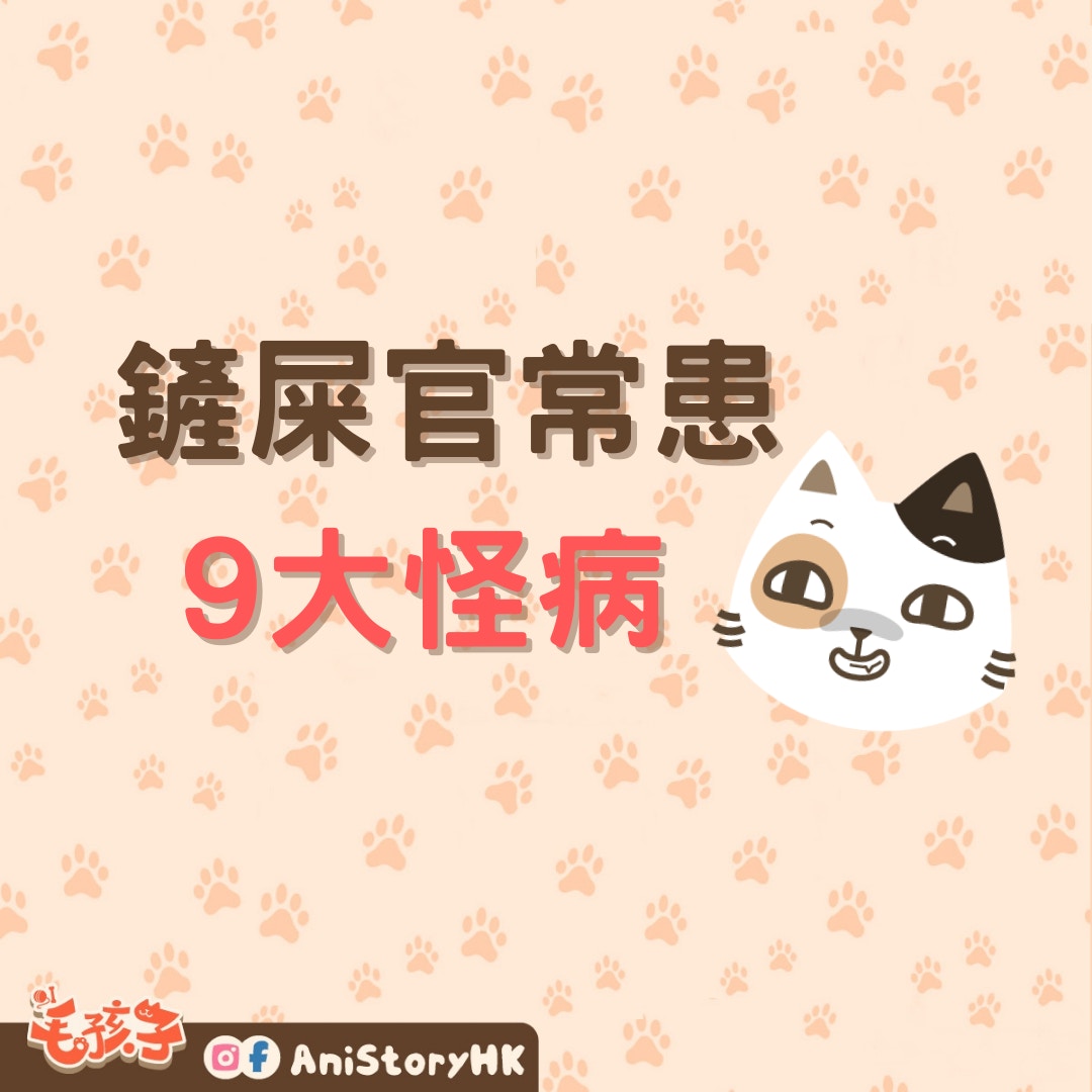 貓主常患9大怪病（01製圖）
