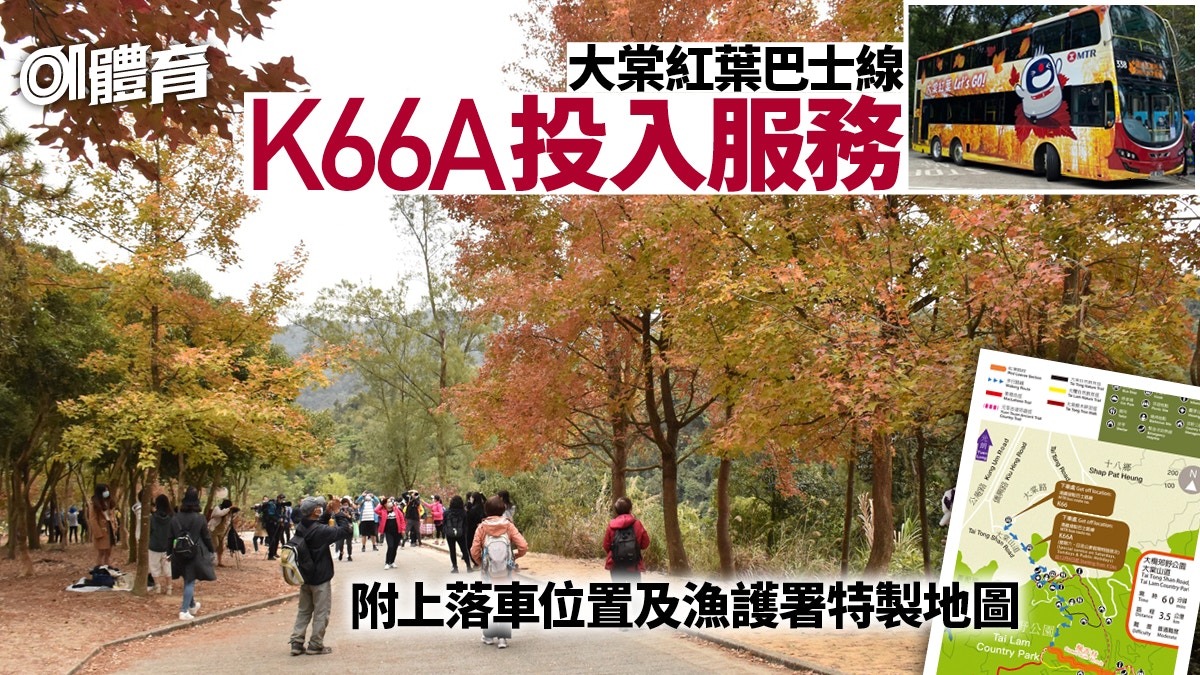 K66 Bus Route Map Tai Tong Hongye Bus Route K66A Will Serve The Afcd From The Weekend To  Update The "Red Leaf Index"｜Hiking - The Limited Times