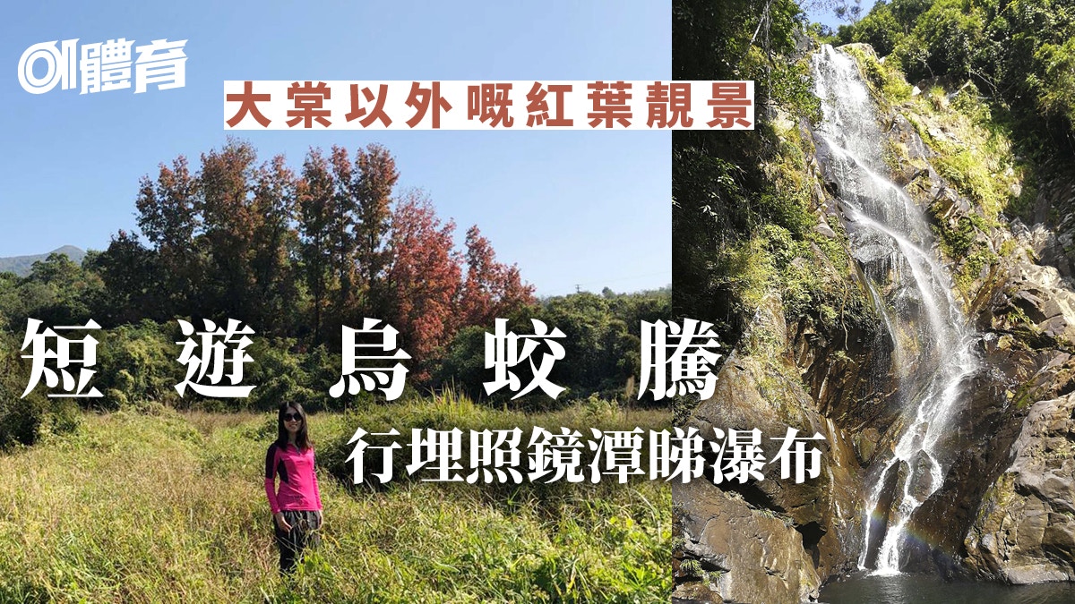 賞九擔租紅葉避開人潮閒遊照鏡潭發現驚喜｜大埔烏蛟騰行山遊記