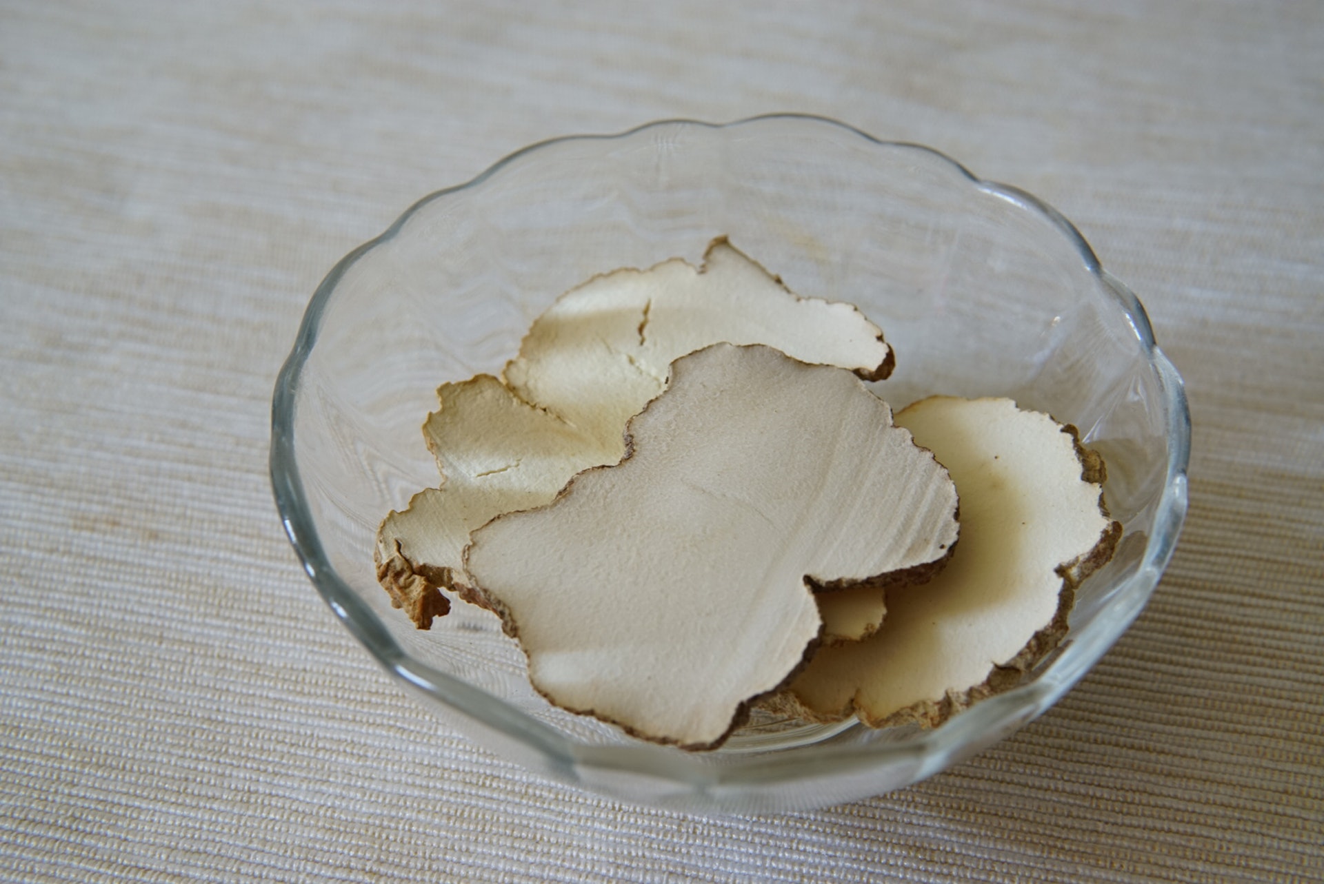 虎乳靈芝性味甘溫,能補氣益血、止咳平喘,有效護肺及緩解氣喘症狀 (圖片: HK01) 虎乳靈芝性味甘溫,能補氣益血、止咳平喘,有效護肺及緩解氣喘症狀 (圖片: HK01)