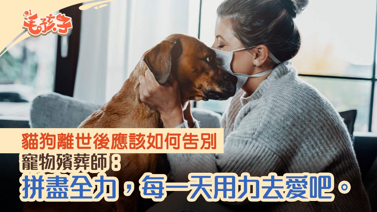 寵物善終|貓狗離世後如何告別 寵物殯葬師見證4個火化前的故事 寵物善終|貓狗離世後如何告別 寵物殯葬師見證4個火化前的故事