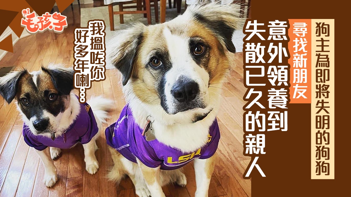 媽為失明狗找狗伴意外養到失散多年的親人醫生檢查揭驚人真相 媽為失明狗找狗伴意外養到失散多年的親人醫生檢查揭驚人真相