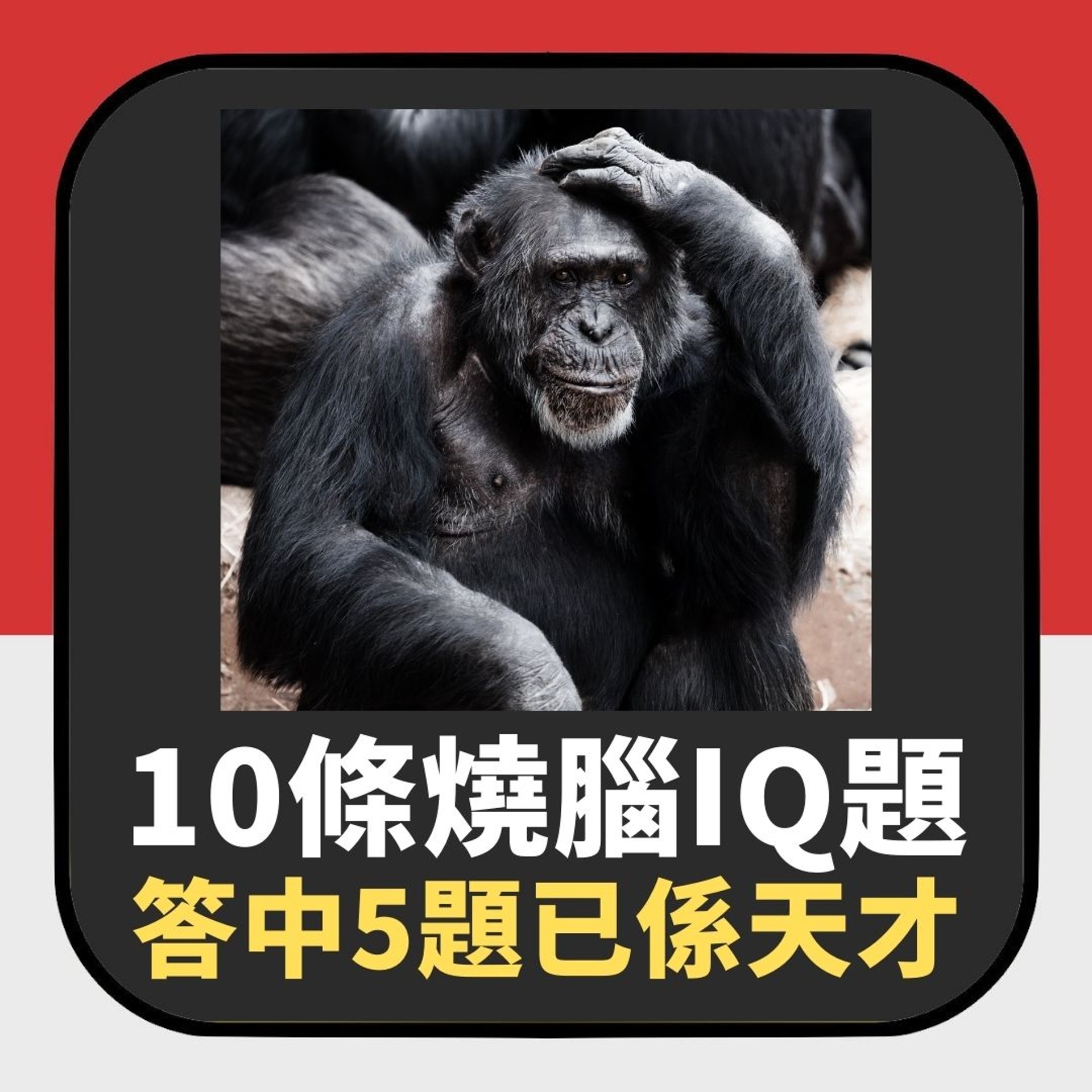 10條燒腦IQ題 據說答中5條智商就有140(01製圖) 10條燒腦IQ題 據說答中5條智商就有140(01製圖)