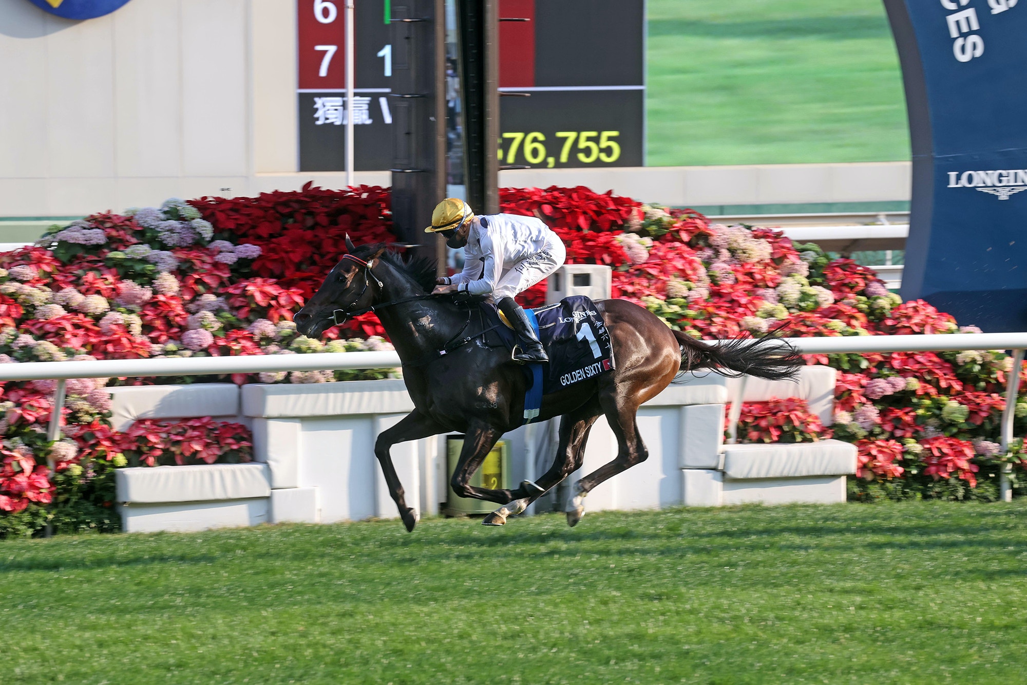 金鎗六十 19勝創香港紀錄衛冕一哩錦標 賽馬 香港國際賽事