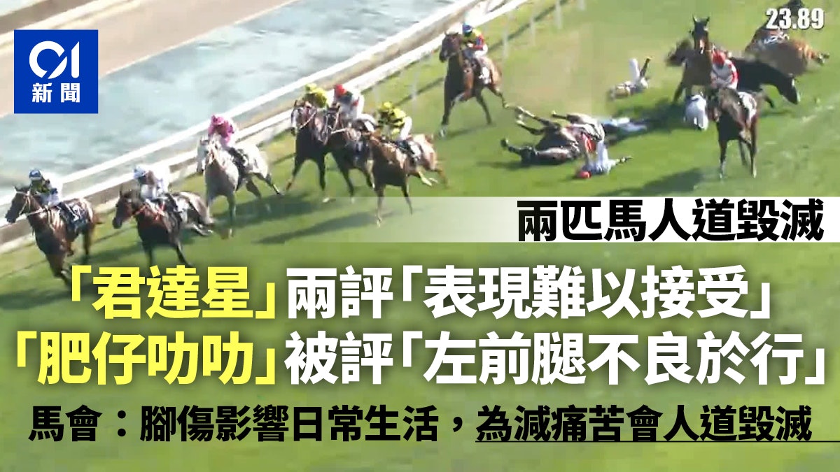 沙田馬場墮馬意外兩馬須人道毀滅 君達星曾兩評「表現難以接受」 沙田馬場墮馬意外兩馬須人道毀滅 君達星曾兩評「表現難以接受」