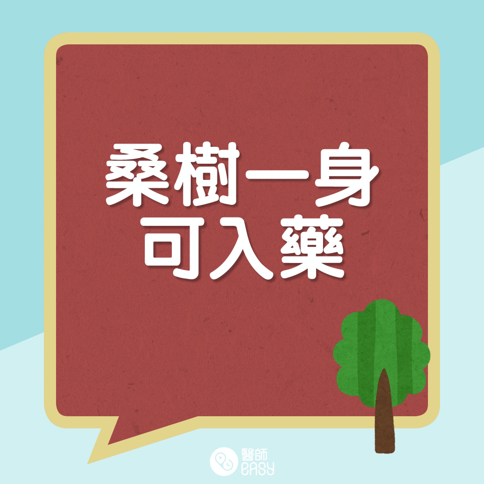 (醫師Easy製圖) (醫師Easy製圖)