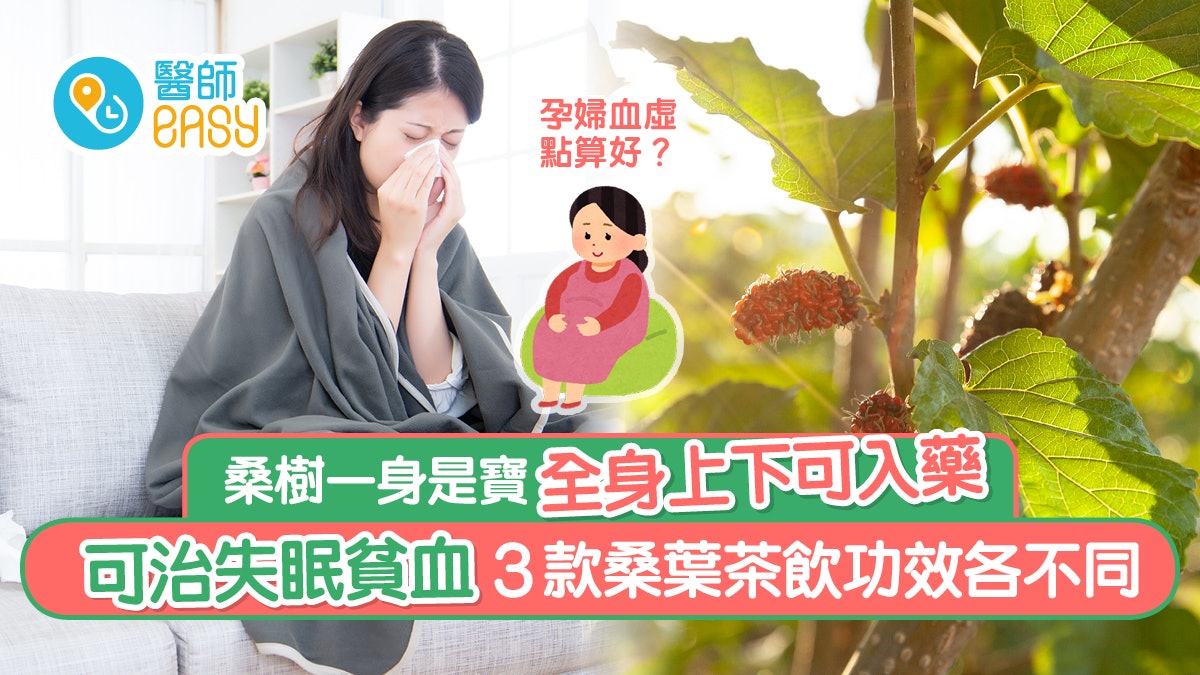 桑樹 | 不同部分均有藥用價值 治失眠貧血3款桑葉茶飲功效各不同 桑樹 | 不同部分均有藥用價值 治失眠貧血3款桑葉茶飲功效各不同