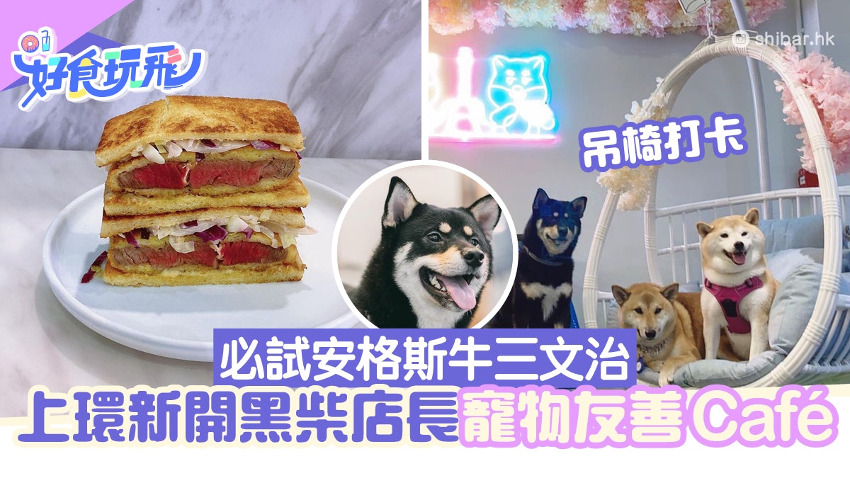 上環新開2層高粉藍花系打卡Cafe 可愛柴犬店長/招牌安格斯牛漢堡 上環新開2層高粉藍花系打卡Cafe 可愛柴犬店長/招牌安格斯牛漢堡