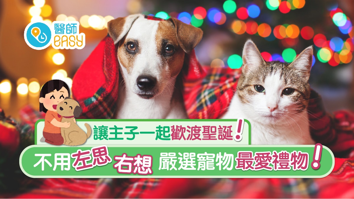 聖誕|盤點最受寵物喜愛聖誕禮物 網店門市都買到 貓狗都啱用! 聖誕|盤點最受寵物喜愛聖誕禮物 網店門市都買到 貓狗都啱用!
