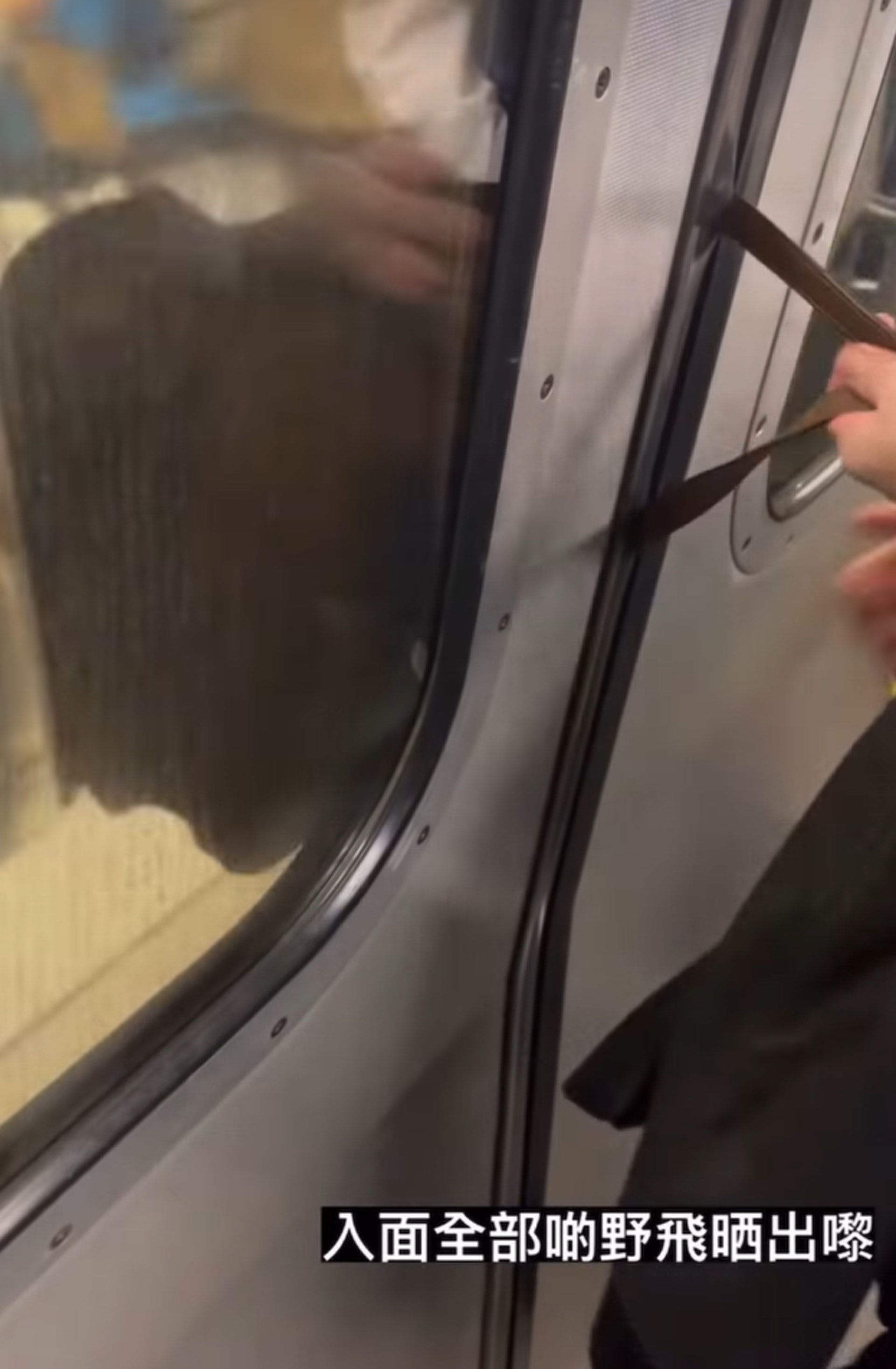 網絡瘋傳影片,1名女子的隨身手袋被夾於港鐵車門外,當列車抵達車站時,手袋更與月台幕門不斷相撞發出巨響,袋內財物全部掉光。(fb影片截圖)