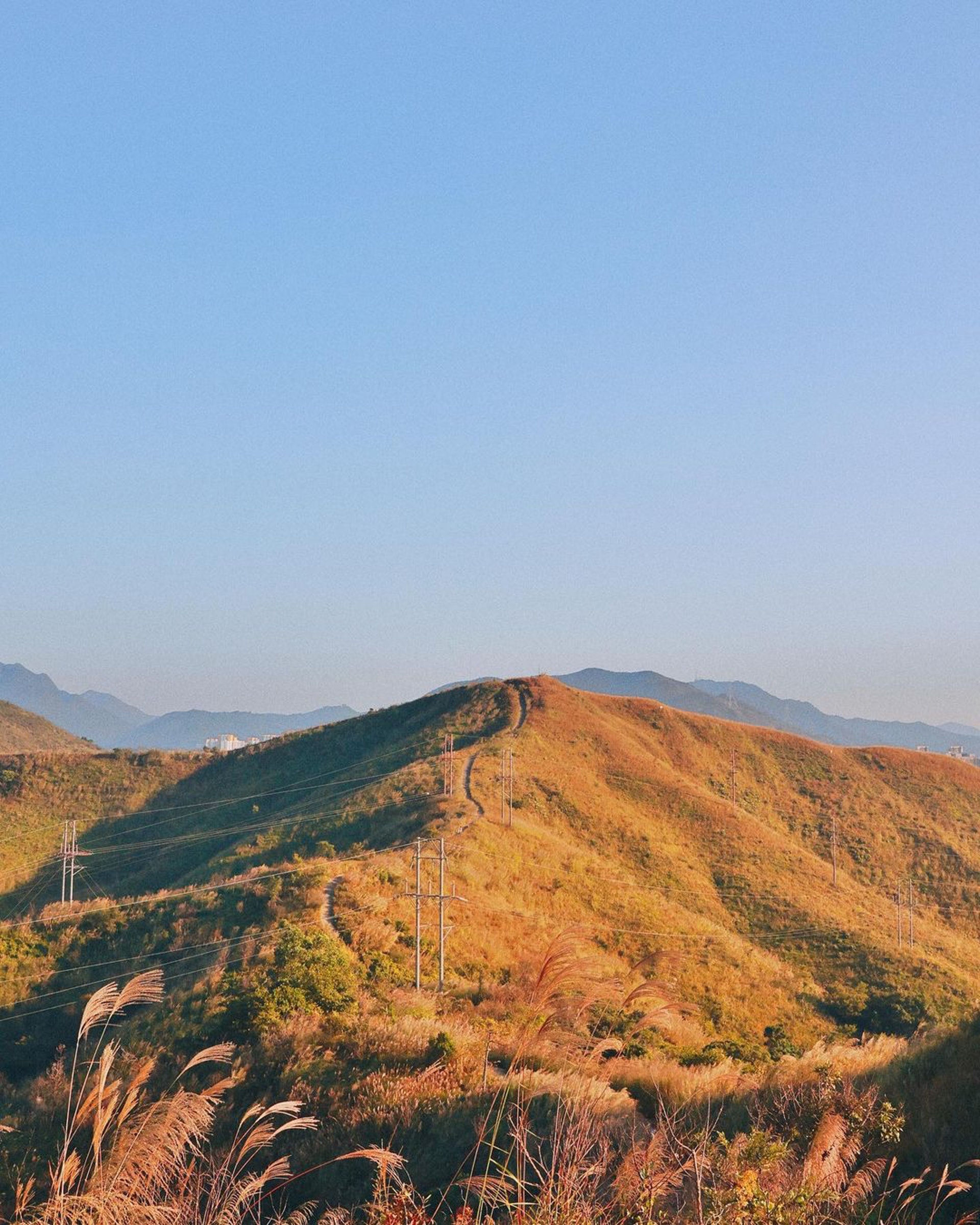 上水行山路線 港版萬里長城新手2小時行完4座山必看金黃芒草海 上水行山路線 港版萬里長城新手2小時行完4座山必看金黃芒草海