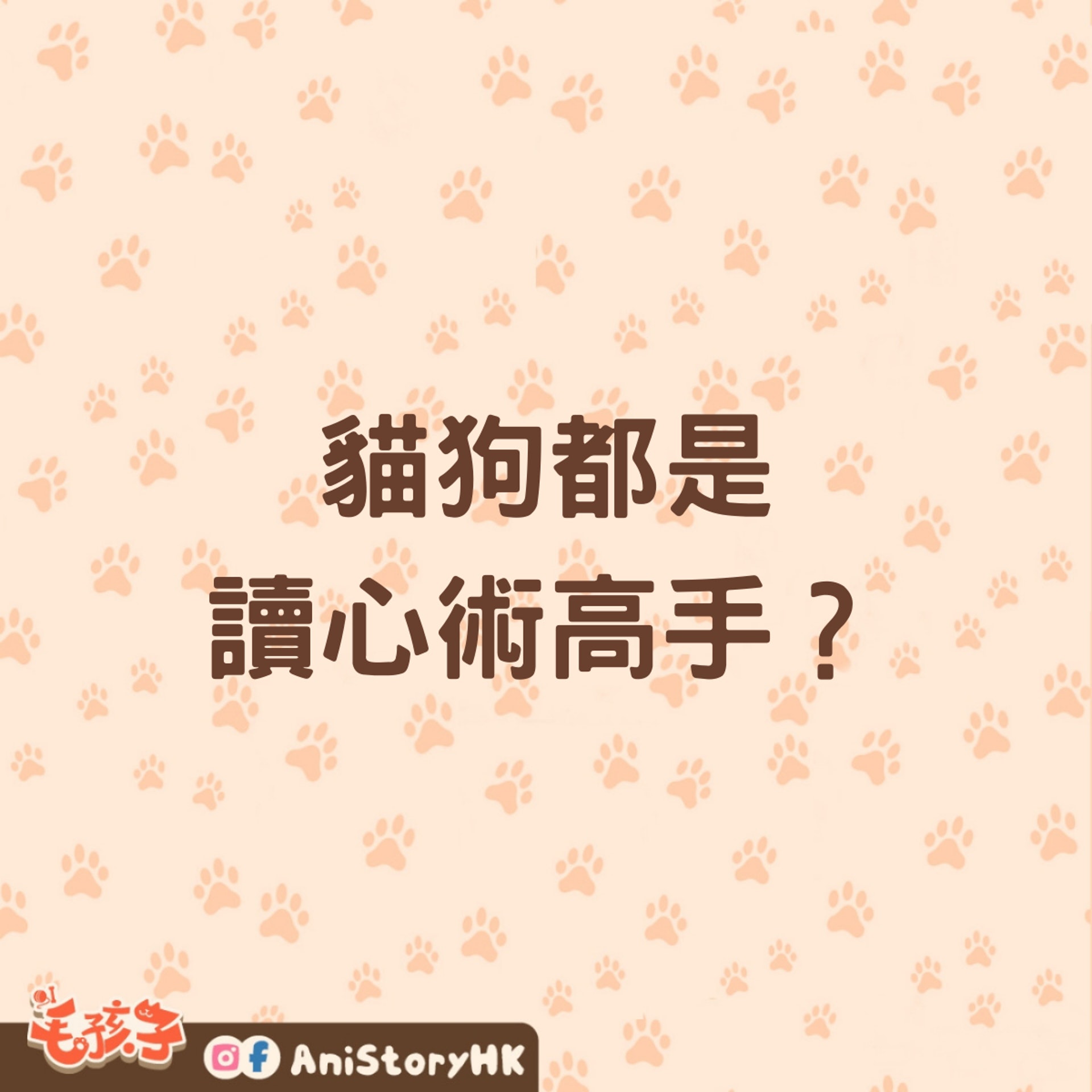 貓狗都是讀心術高手,更能跨物種理解人類情緒,感知能力不遜於小孩。(01製圖) 貓狗都是讀心術高手,更能跨物種理解人類情緒,感知能力不遜於小孩。(01製圖)