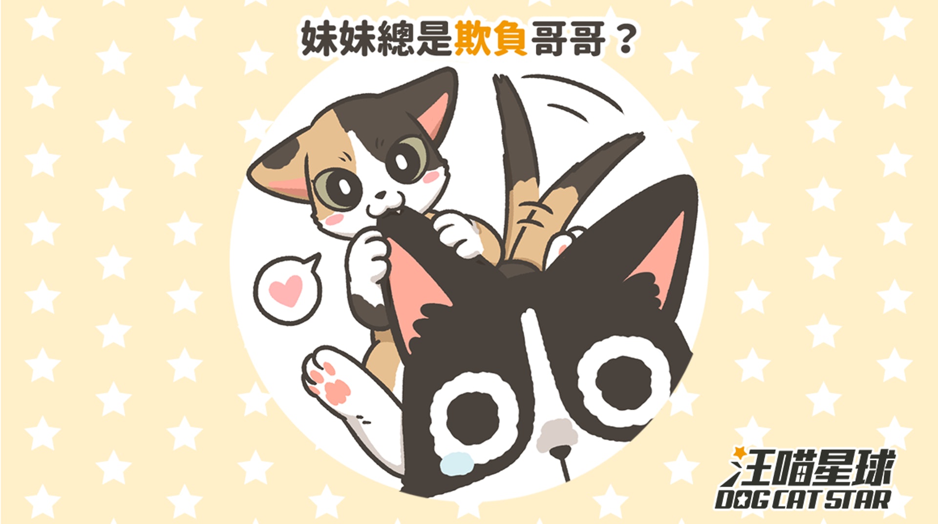 貓咪妹妹總是欺負貓咪哥哥?(汪喵星球提供) 貓咪妹妹總是欺負貓咪哥哥?(汪喵星球提供)