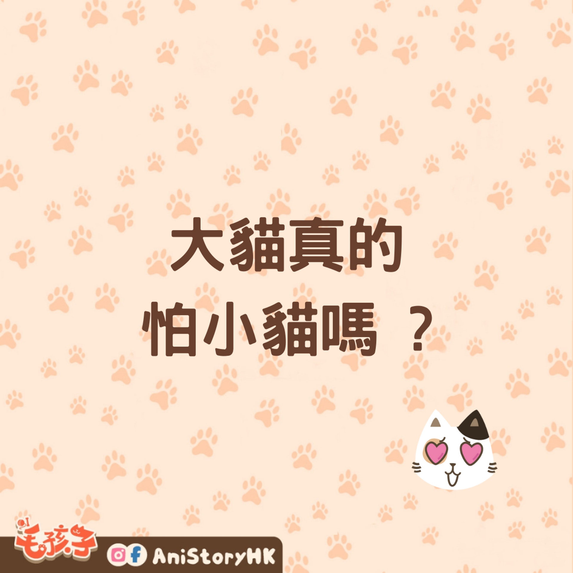 貓咪妹妹總是欺負貓咪哥哥?(香港01製圖) 貓咪妹妹總是欺負貓咪哥哥?(香港01製圖)