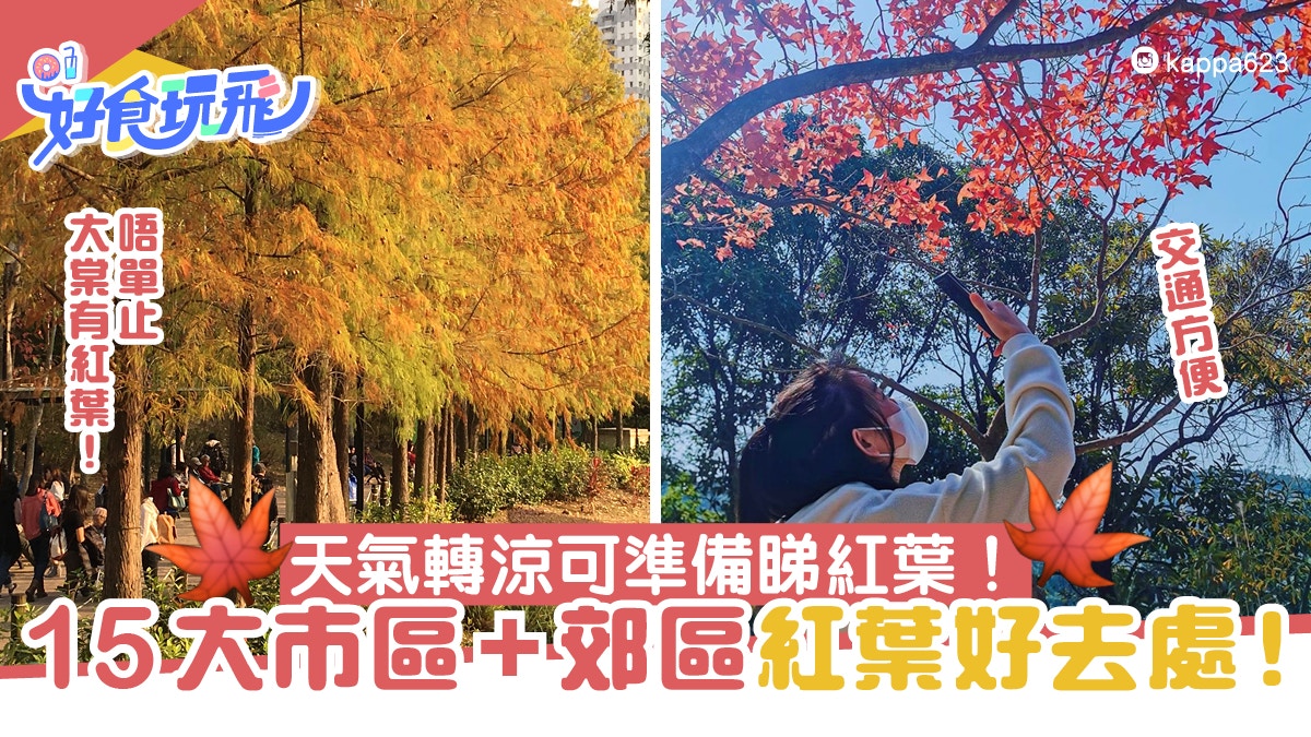 香港紅葉21 唔止大棠紅葉 15個市區郊區香港紅葉好去處 交通