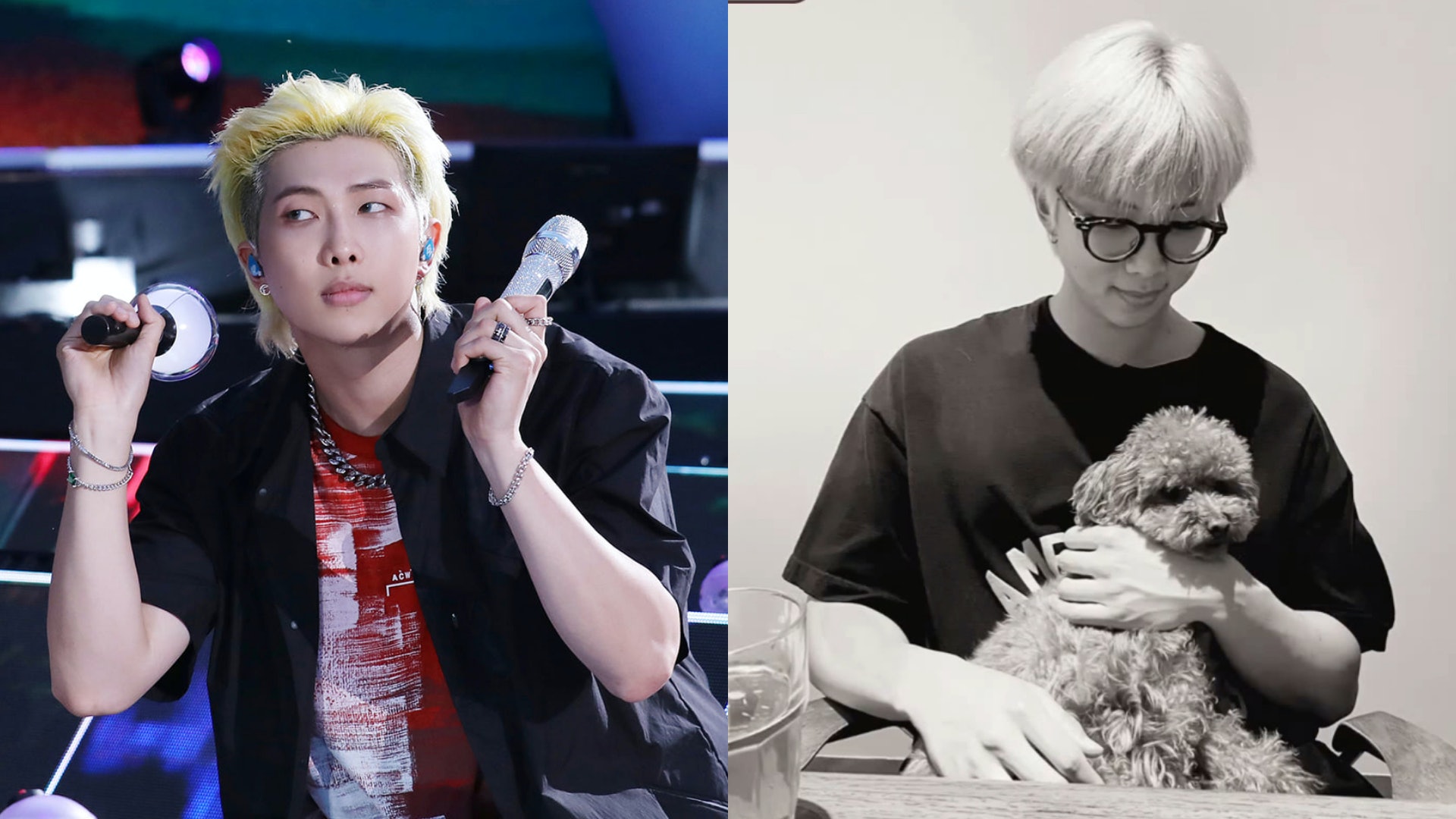 BTS防彈少年團RM爆秘戀千金2年 疑手抱對方愛犬IG傳情 BTS防彈少年團RM爆秘戀千金2年 疑手抱對方愛犬IG傳情