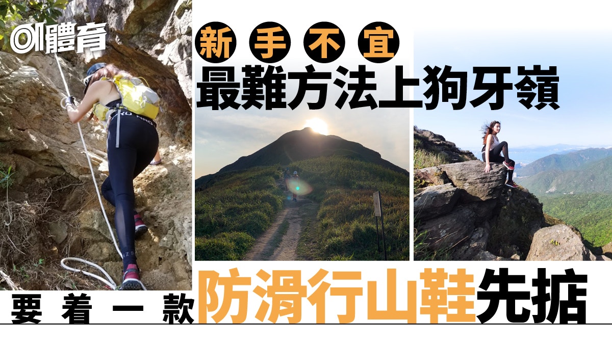 花瓶頂行山路線 探尋花瓶石兼登賞青馬大橋穿越叢林落到迪欣湖