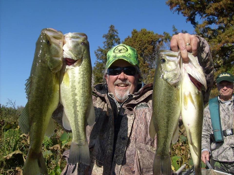 美國德州出現 魚雨 大量死魚落下居民樂得免費加餸
