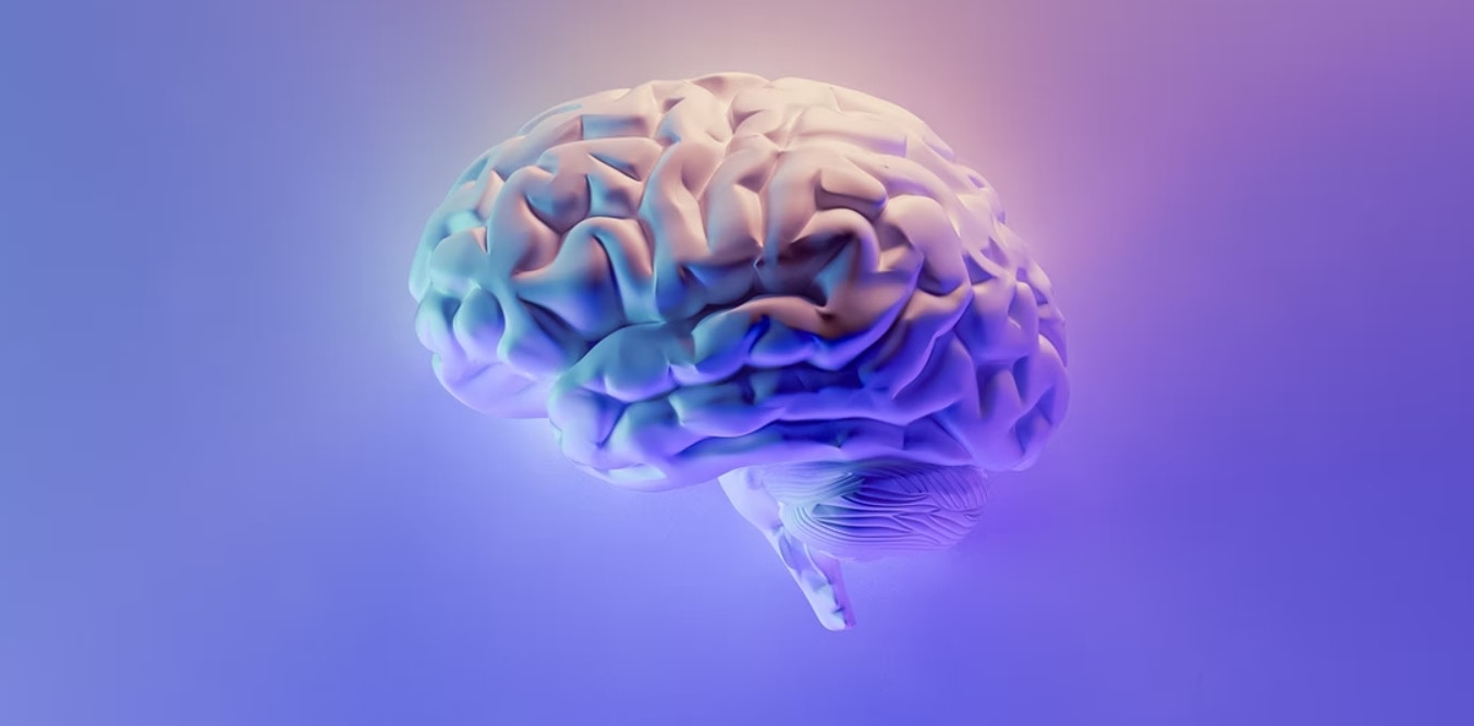 加拿大神秘腦疾已致8死照顧者也感染這種海鮮體內發現毒素