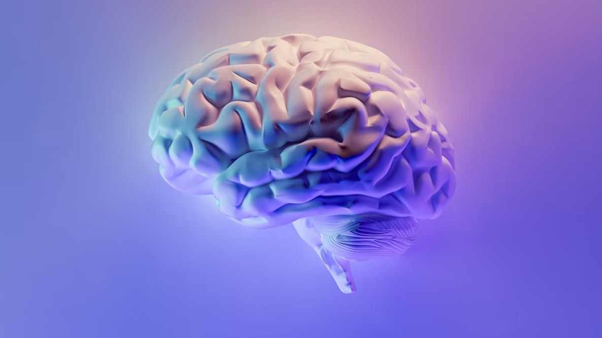 加拿大神秘腦疾已致8死照顧者也感染這種海鮮體內發現毒素 加拿大神秘腦疾已致8死照顧者也感染這種海鮮體內發現毒素