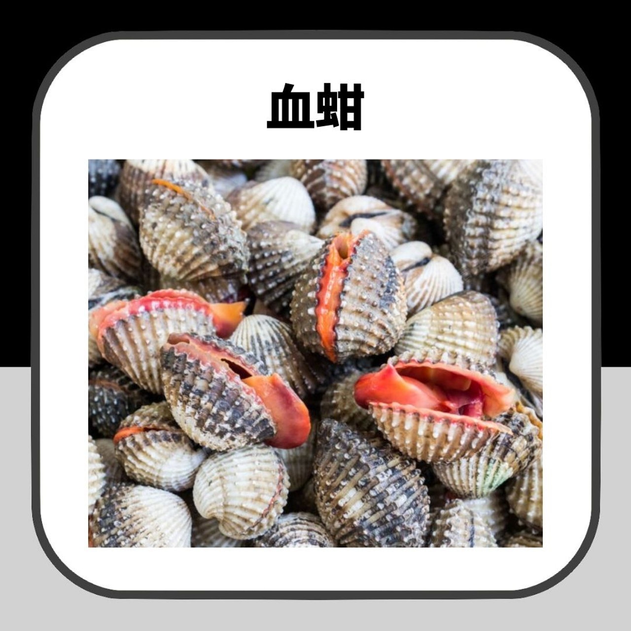 5道泰國黑暗料理(01製圖/VISION THAI看見泰國提供) 5道泰國黑暗料理(01製圖/VISION THAI看見泰國提供)
