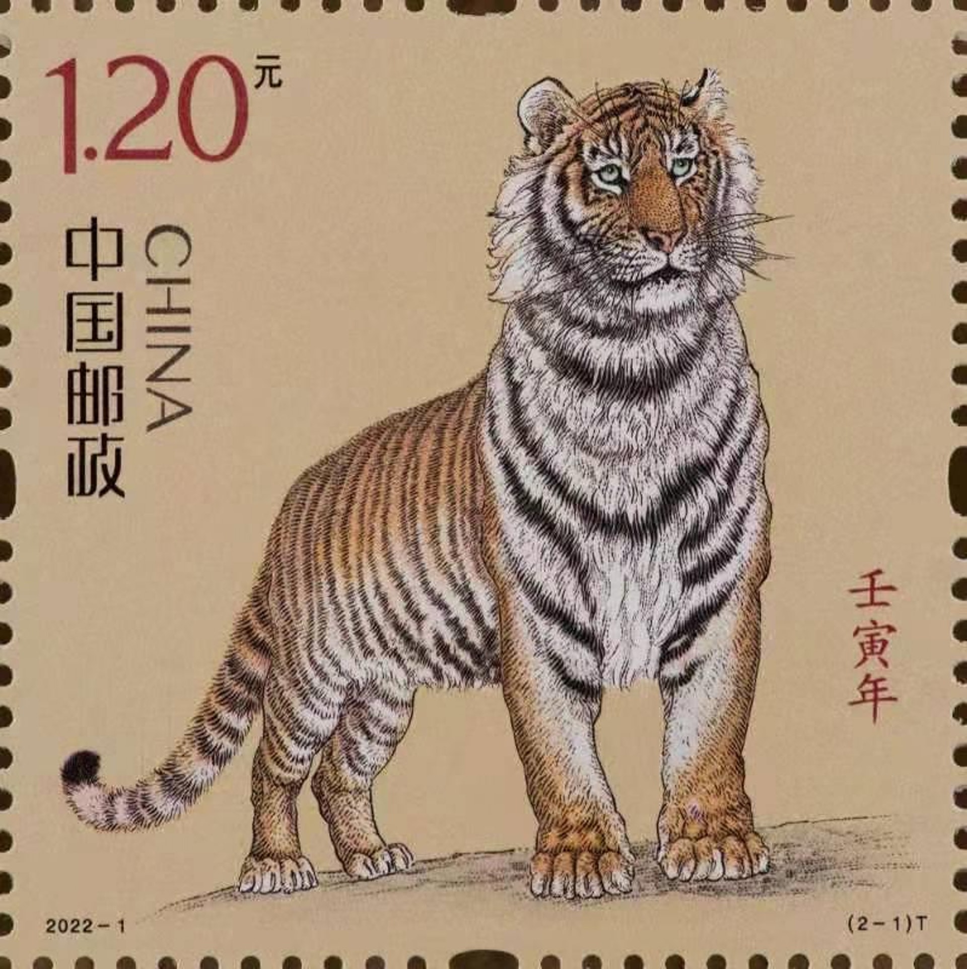 國運昌隆描繪了一隻氣宇軒昂的上山虎形象,矗立遠眺、志存高遠,傳達出國家蒸蒸日上、雄心壯志的含義。(澎湃新聞) 國運昌隆描繪了一隻氣宇軒昂的上山虎形象,矗立遠眺、志存高遠,傳達出國家蒸蒸日上、雄心壯志的含義。(澎湃新聞)