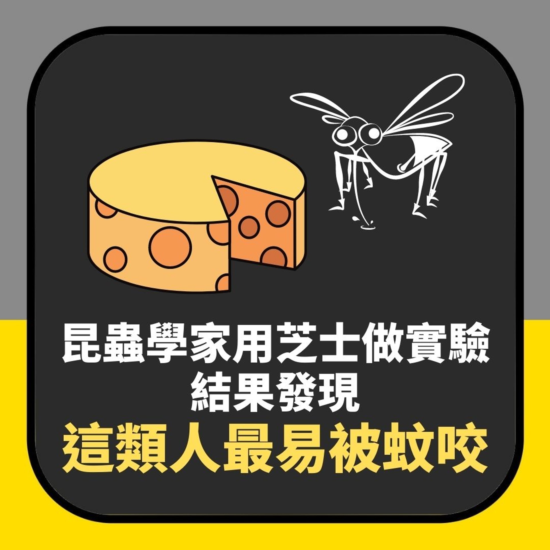 美國昆蟲學家用芝士做實驗 發現這類人最易被咬(01製圖) 美國昆蟲學家用芝士做實驗 發現這類人最易被咬(01製圖)