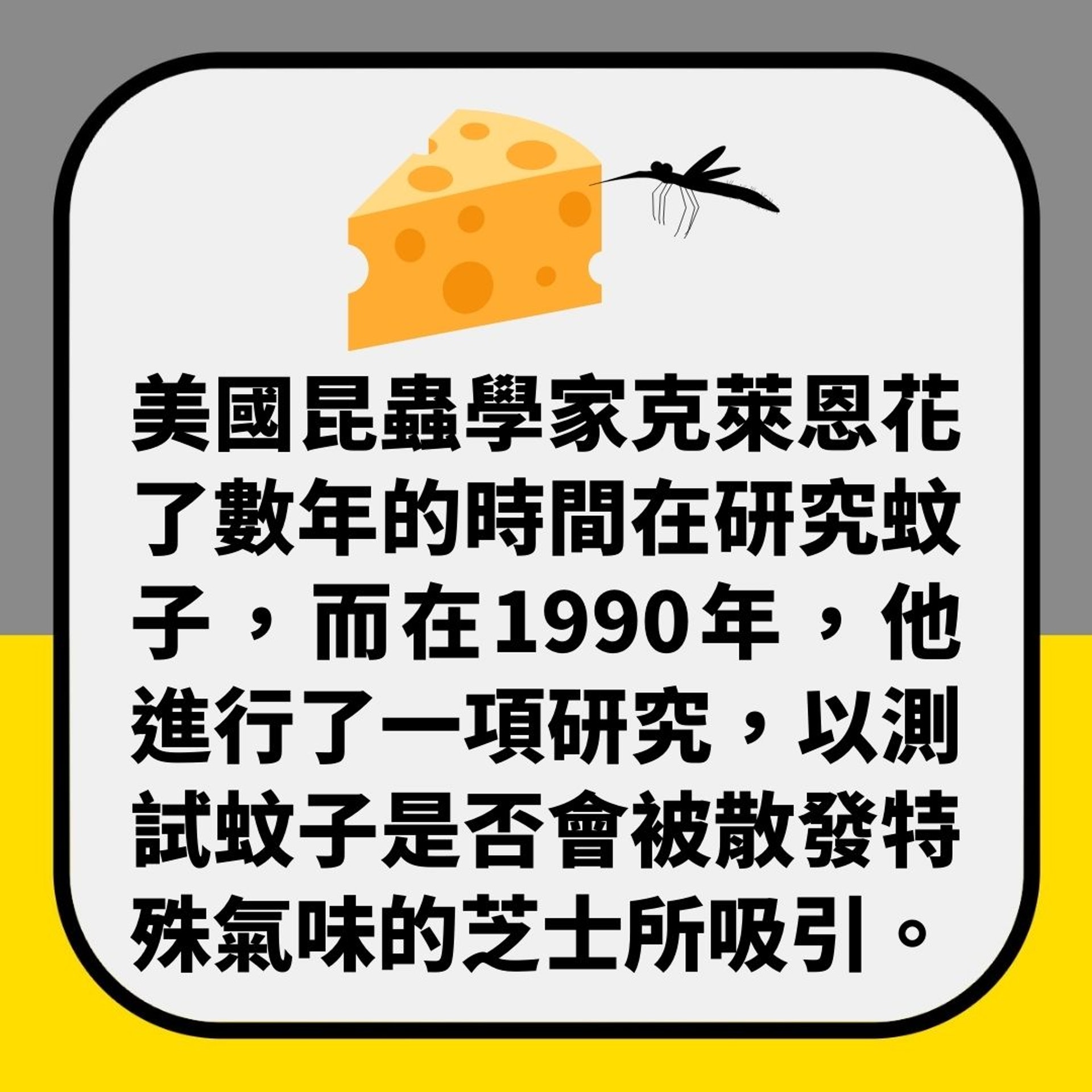 美國昆蟲學家用芝士做實驗 發現這類人最易被咬(01製圖) 美國昆蟲學家用芝士做實驗 發現這類人最易被咬(01製圖)
