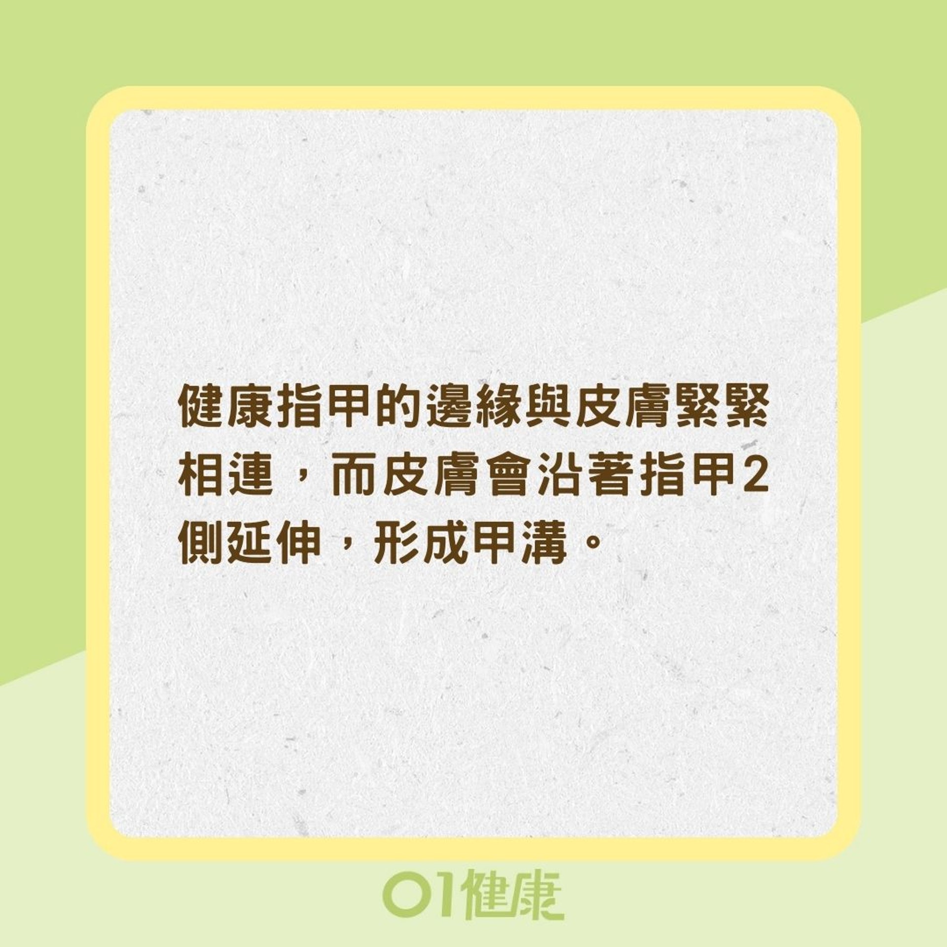 甲溝炎是什麼?(01製圖) 甲溝炎是什麼?(01製圖)