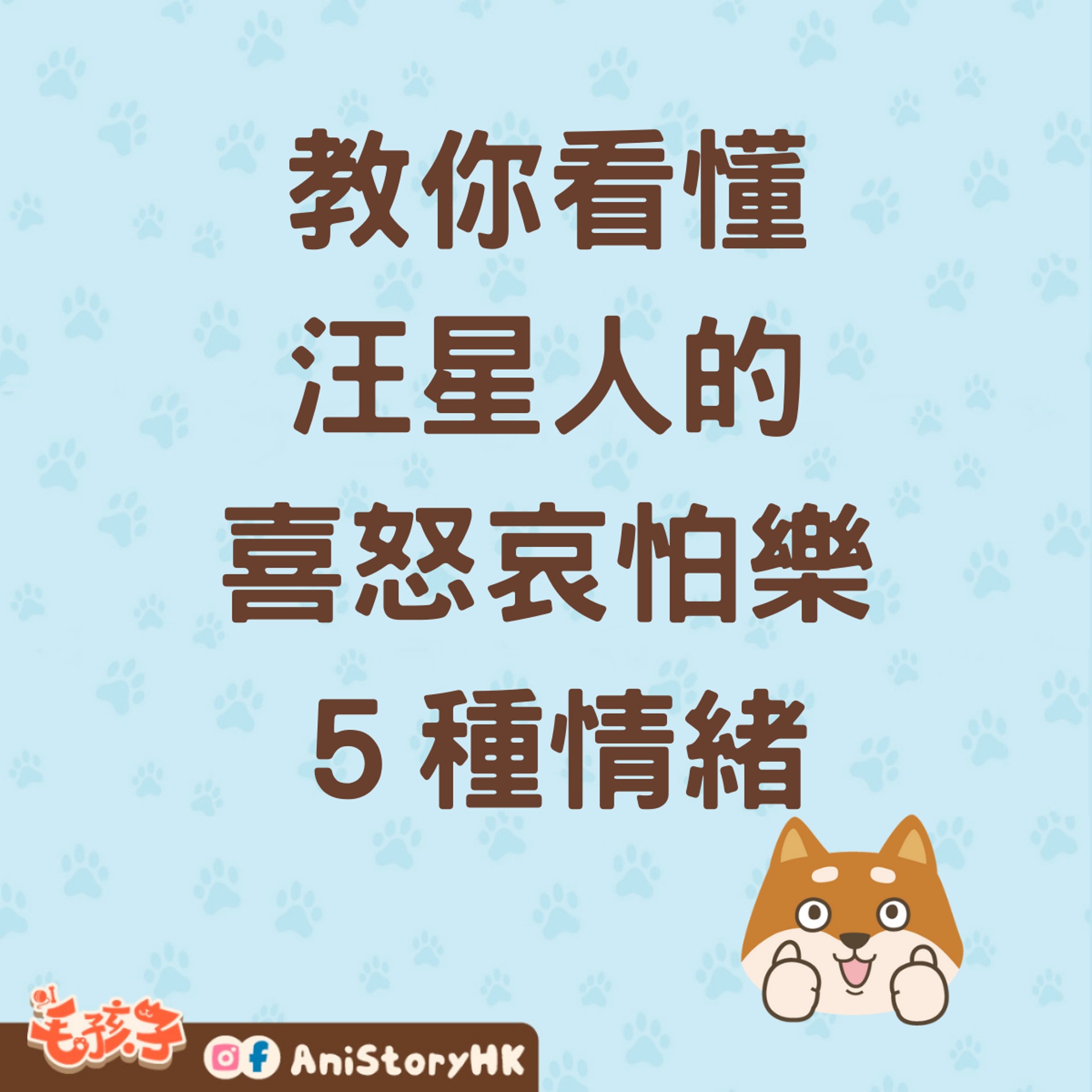 狗狗搖尾巴就是開心? 教你看懂汪星人的喜怒哀怕樂5種情緒(香港01製圖) 狗狗搖尾巴就是開心? 教你看懂汪星人的喜怒哀怕樂5種情緒(香港01製圖)