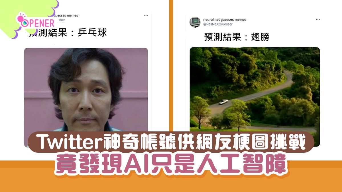 完全智障 Meme