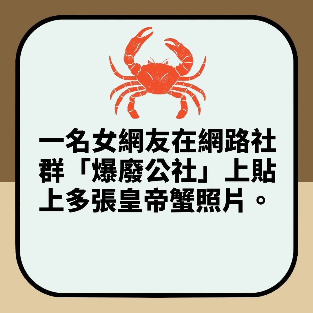 花近萬台幣食皇帝蟹　海量「蟲卵」嚇到夫婦秒走人　真相更噁心（01製圖）