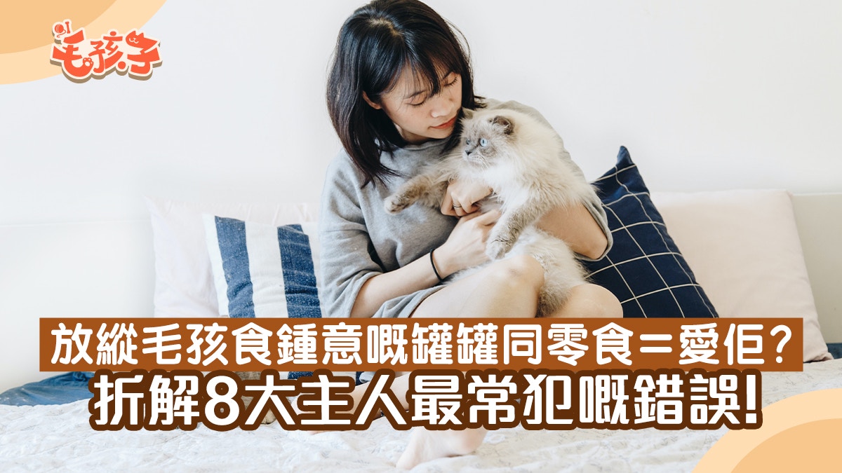 貓狗主人最常犯的8大迷思　愛牠便放縱餵東西　這絕對是大錯特錯