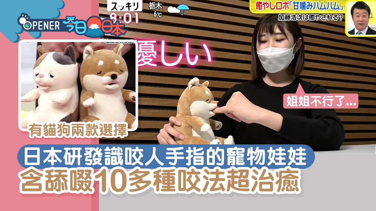 日本研發識咬手指的寵物娃娃 含舔啜10種咬法超治癒 主持嘆上癮 日本研發識咬手指的寵物娃娃 含舔啜10種咬法超治癒 主持嘆上癮