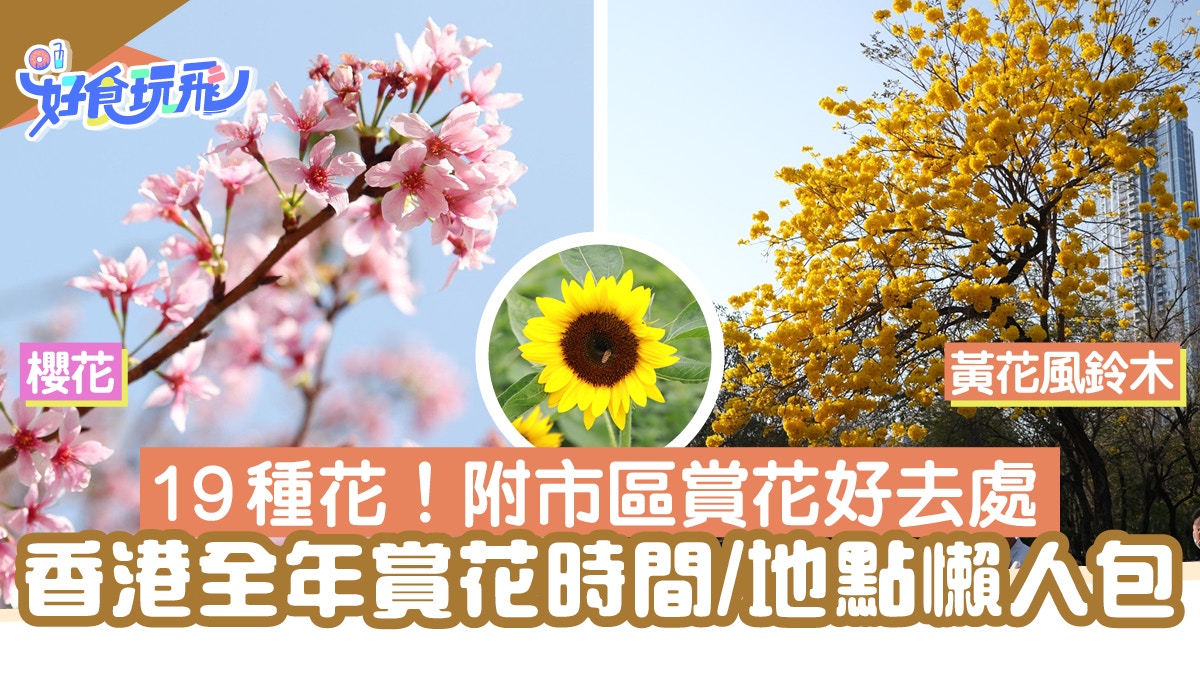香港賞花22 賞花好去處 香港賞花地點公開