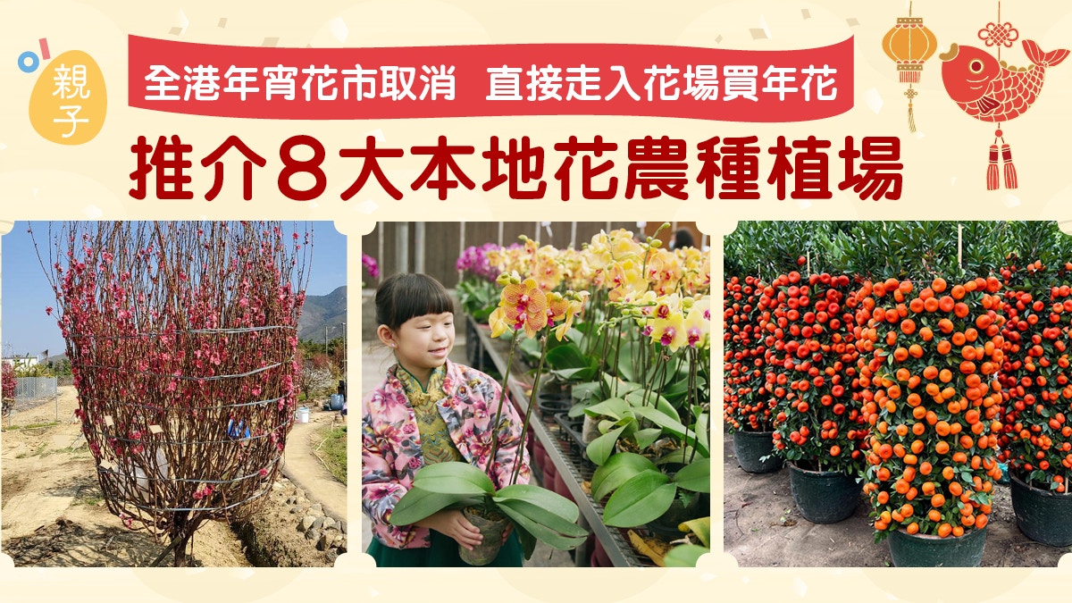 社交距離措施 花市取消親身到花場買年花推介8大花農種植園