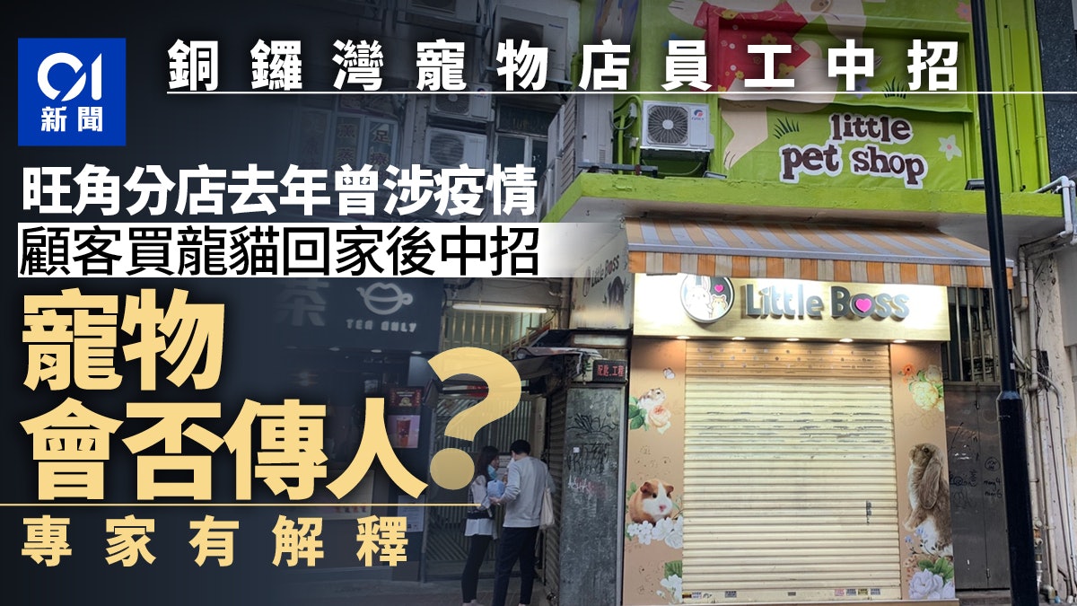 寵物店Little Boss兩度爆源頭不明個案 獸醫︰動物傳人機會低 寵物店Little Boss兩度爆源頭不明個案 獸醫︰動物傳人機會低