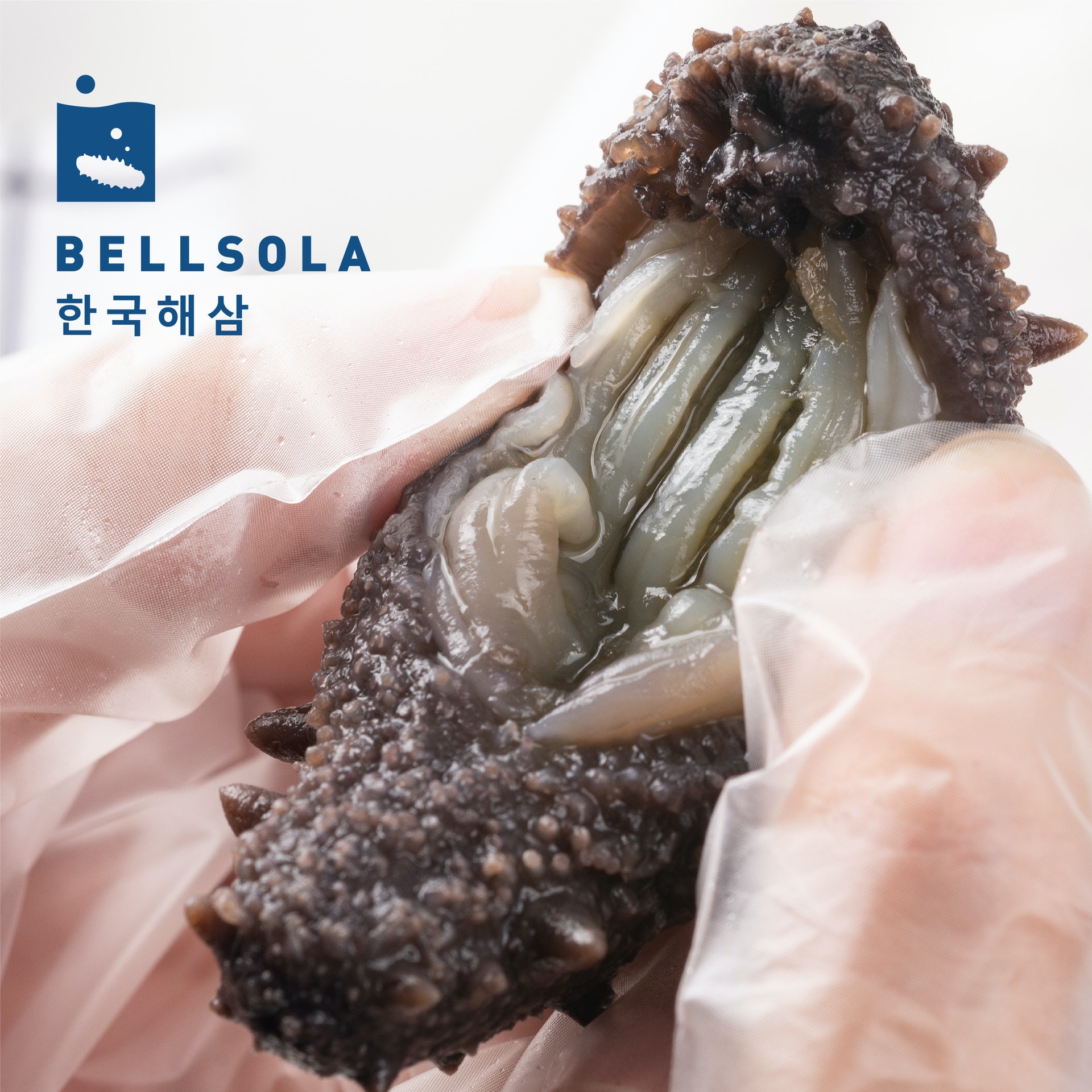 即食遼參已完成浸發程序,而且過程採用「純水發」方式,以最天然的方式、最大程度地保留營養價值及口感。 即食遼參已完成浸發程序,而且過程採用「純水發」方式,以最天然的方式、最大程度地保留營養價值及口感。
