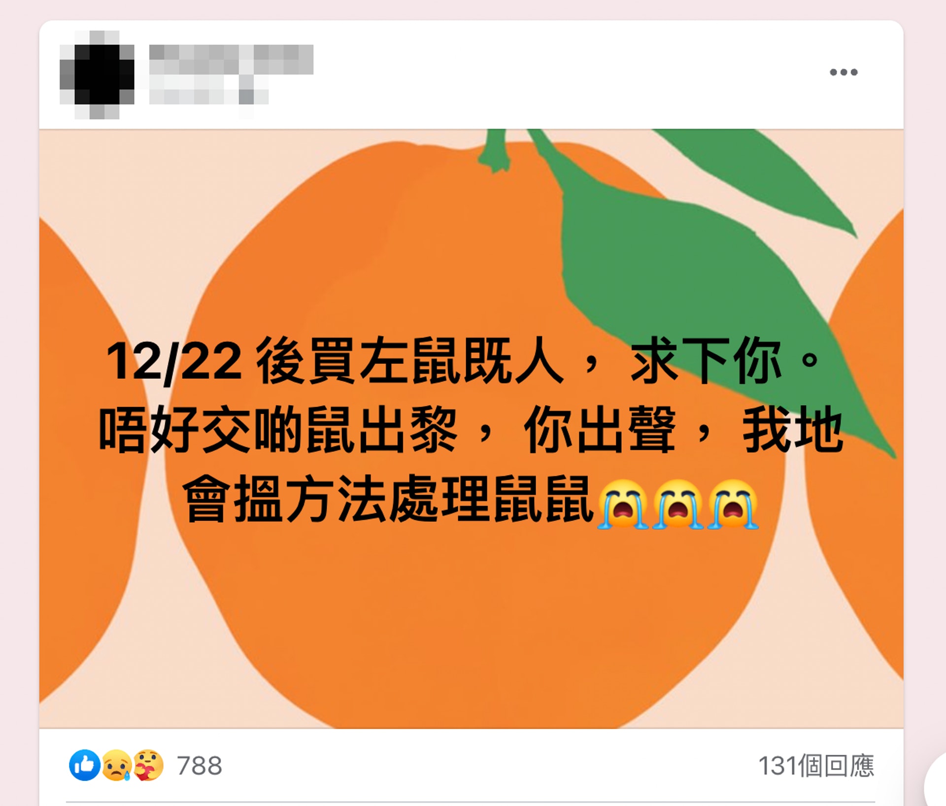 (Facebook群組截圖) (Facebook群組截圖)