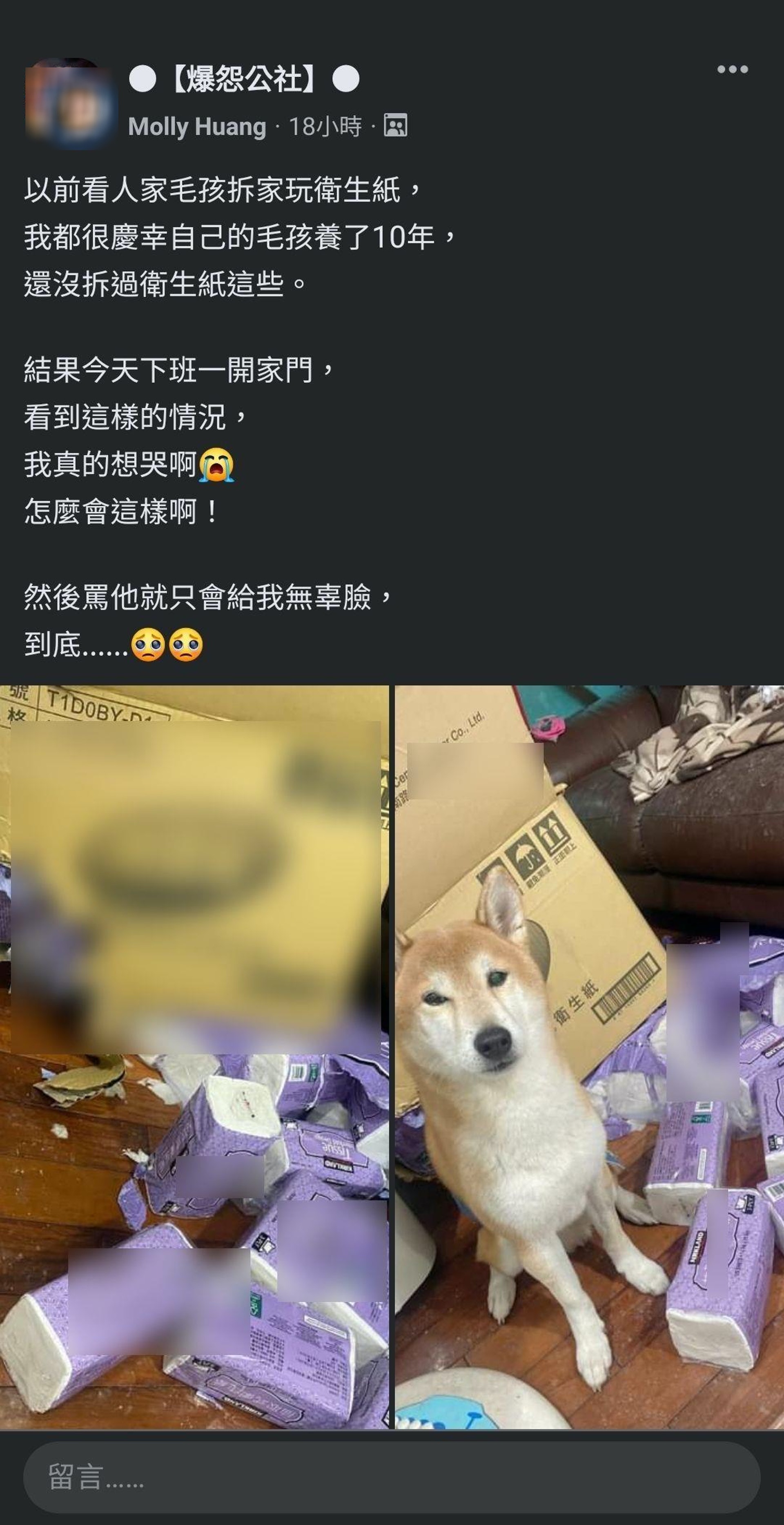 自覺養了一頭乖巧懂事的柴柴,結局卻讓主人哭笑不得,網笑「這樣算很客氣了啦」。(爆怨公社社員提供)) 自覺養了一頭乖巧懂事的柴柴,結局卻讓主人哭笑不得,網笑「這樣算很客氣了啦」。(爆怨公社社員提供))