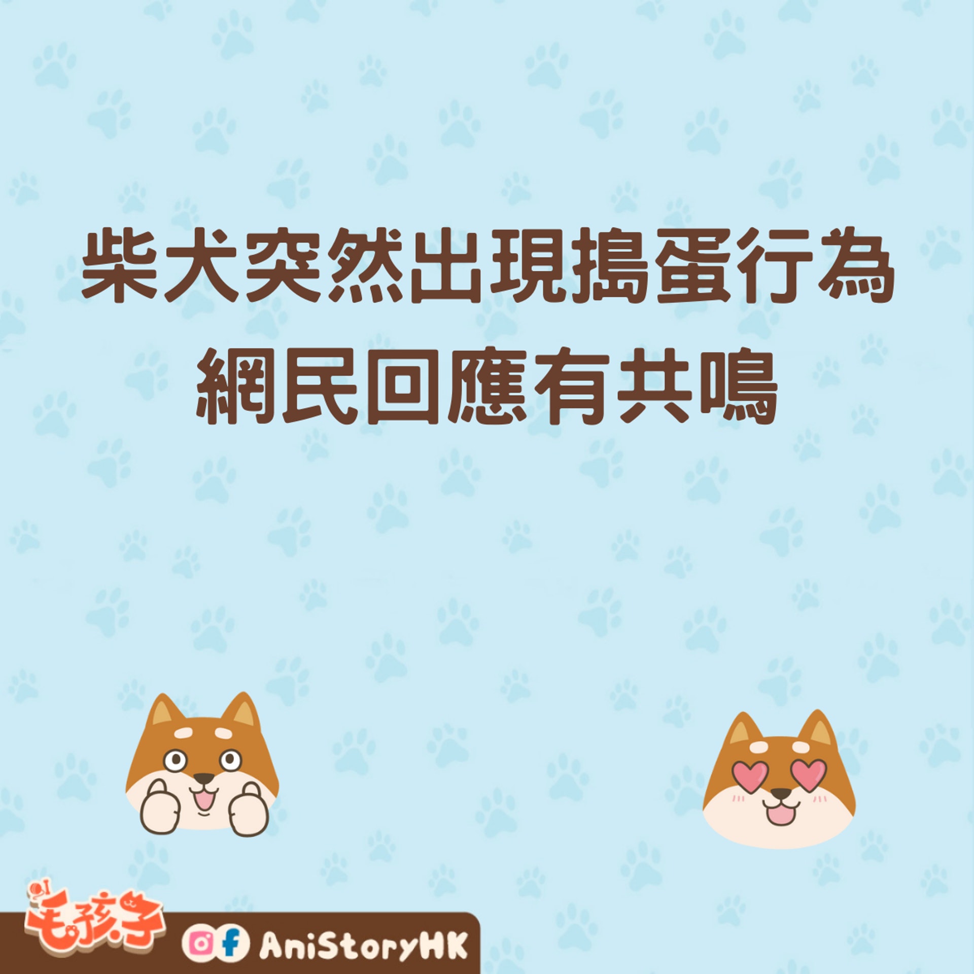自覺養了一頭乖巧懂事的柴柴,結局卻讓主人哭笑不得,網笑「這樣算很客氣了啦」。(01製圖) 自覺養了一頭乖巧懂事的柴柴,結局卻讓主人哭笑不得,網笑「這樣算很客氣了啦」。(01製圖)