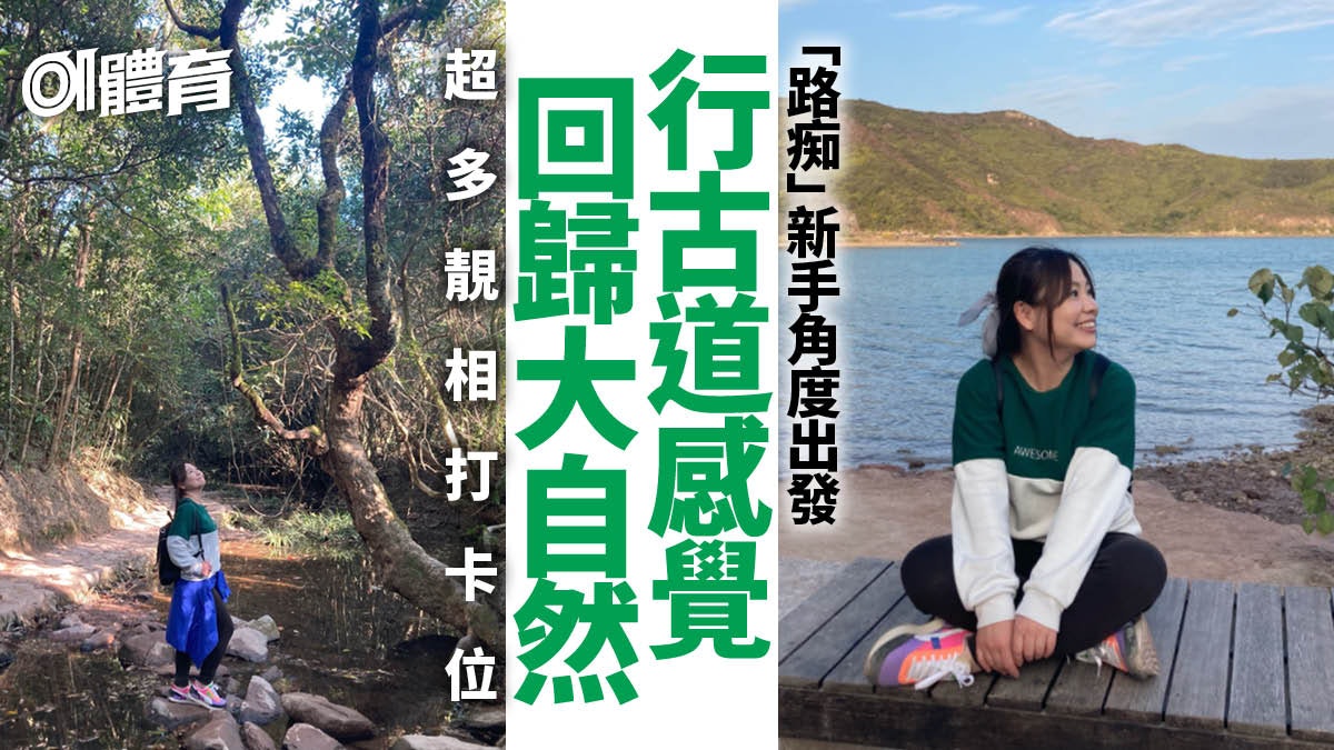 新手行山心得 烏蛟騰行石砌古道來回三椏村集溪澗竹林海岸靚景 新手行山心得 烏蛟騰行石砌古道來回三椏村集溪澗竹林海岸靚景