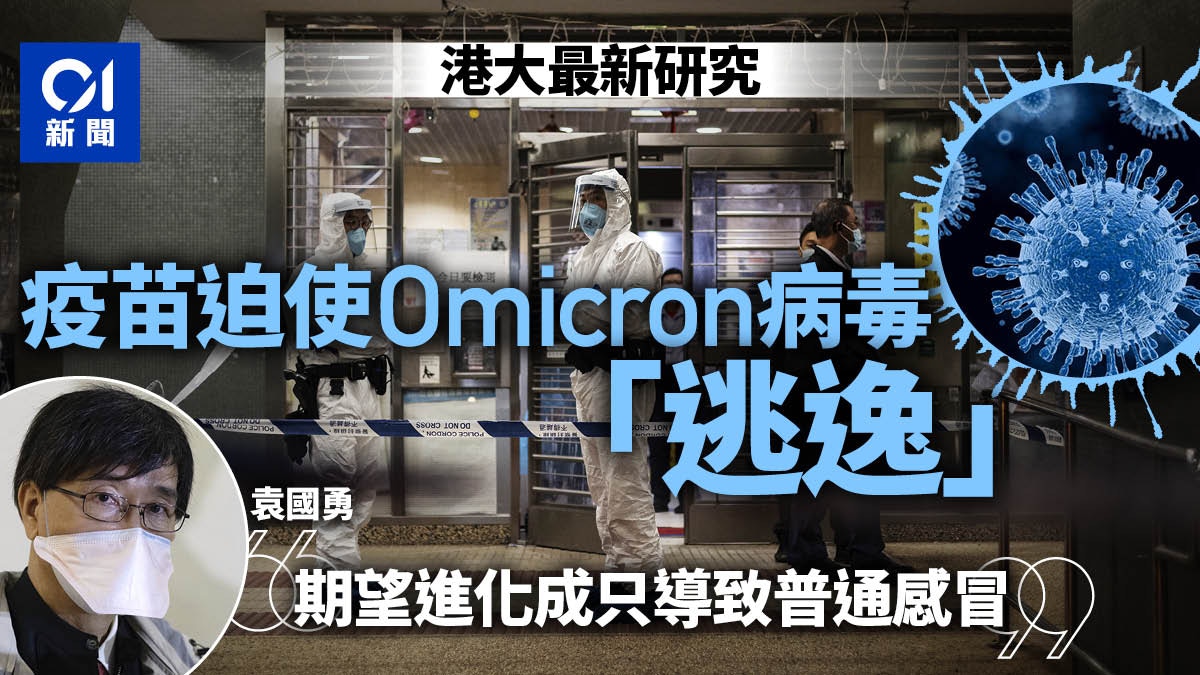 袁國勇研究：Omicron致病性較Delta低　打針或令病毒減弱變感冒