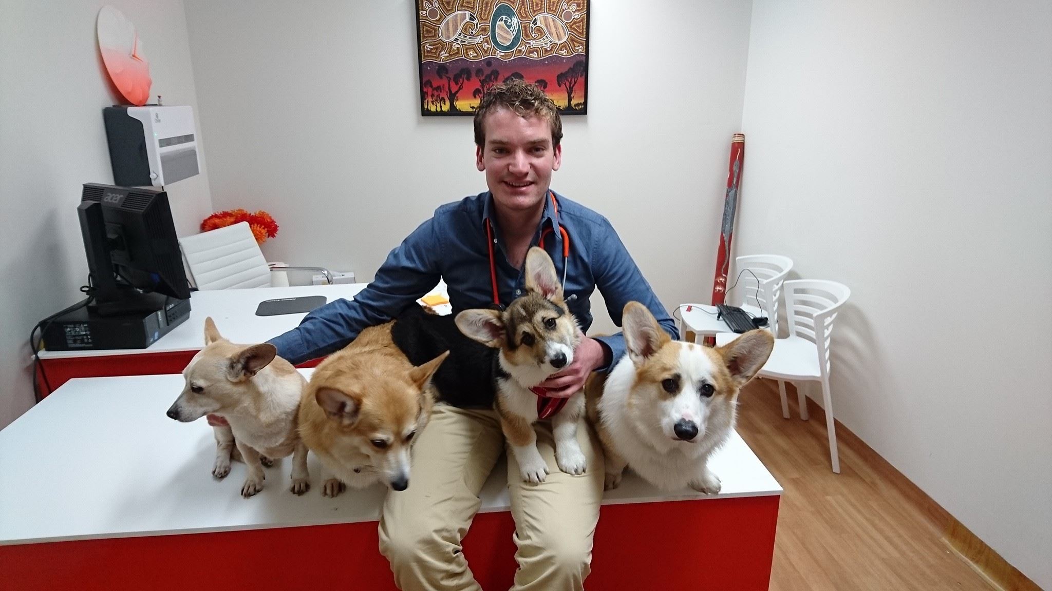 （圖片來源：FB@Southern Cross Veterinary Clinic Sydney）