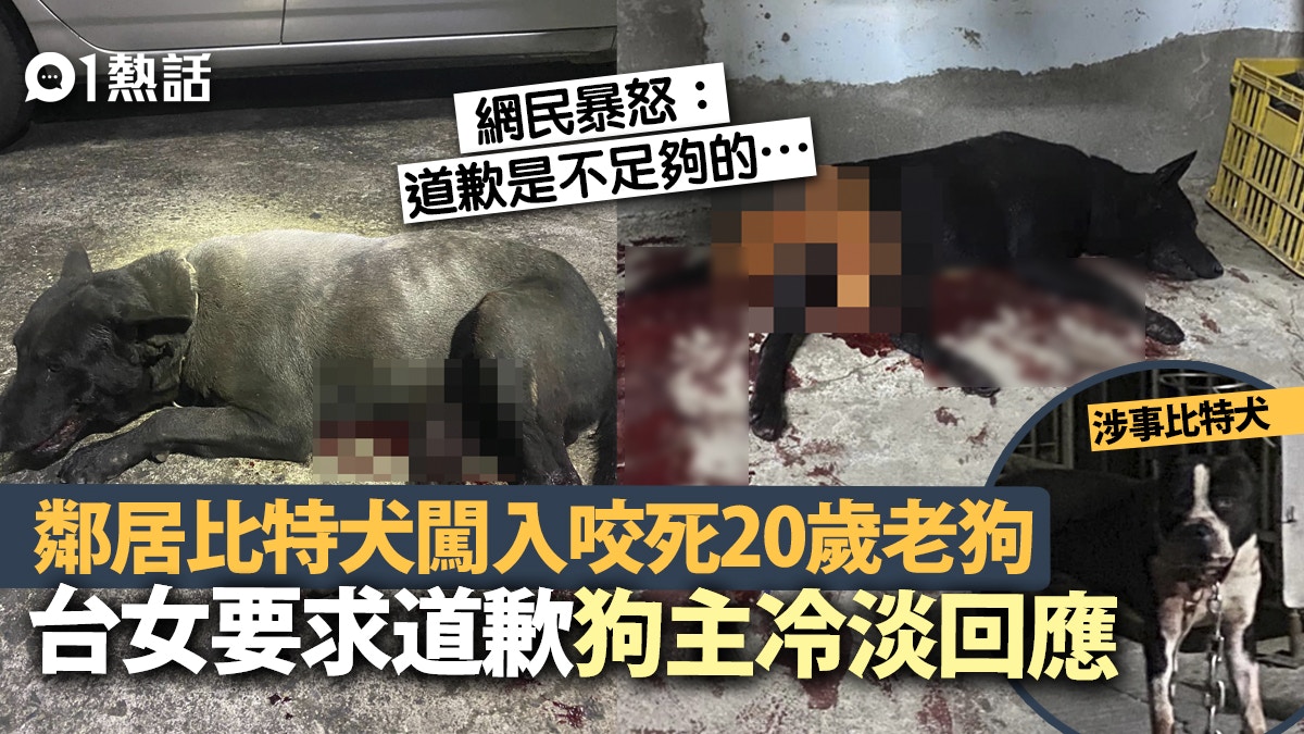 比特犬闖鄰居後院咬死歲老狗死狀淒慘狗主拋冷淡話兼拒道歉