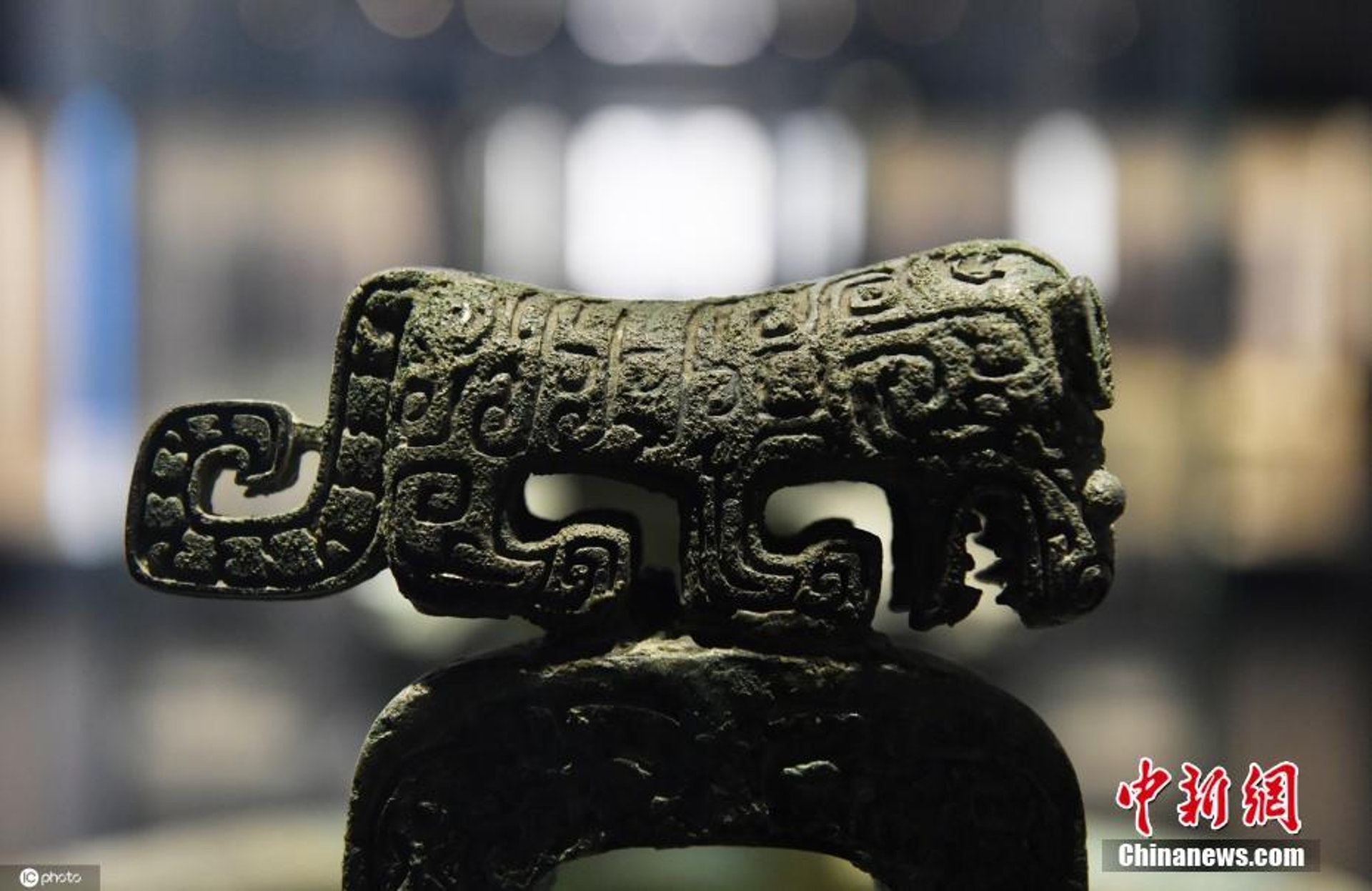 江西博物館展商代「伏鳥雙尾青銅虎」 為存世最大先秦青銅虎 江西博物館展商代「伏鳥雙尾青銅虎」 為存世最大先秦青銅虎