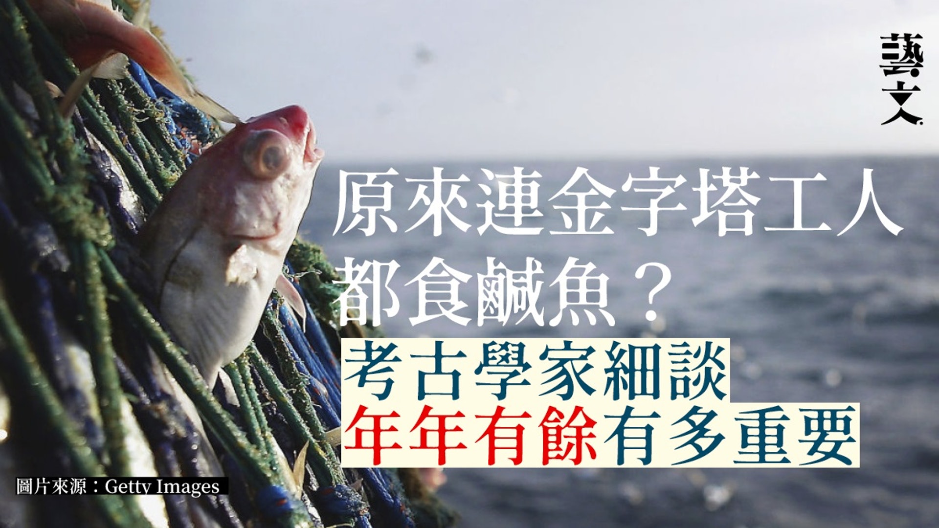 漁的大歷史 軟體動物棲地與漁場漁獲耗竭怎麼辦 漁的大歷史 軟體動物棲地與漁場漁獲耗竭怎麼辦