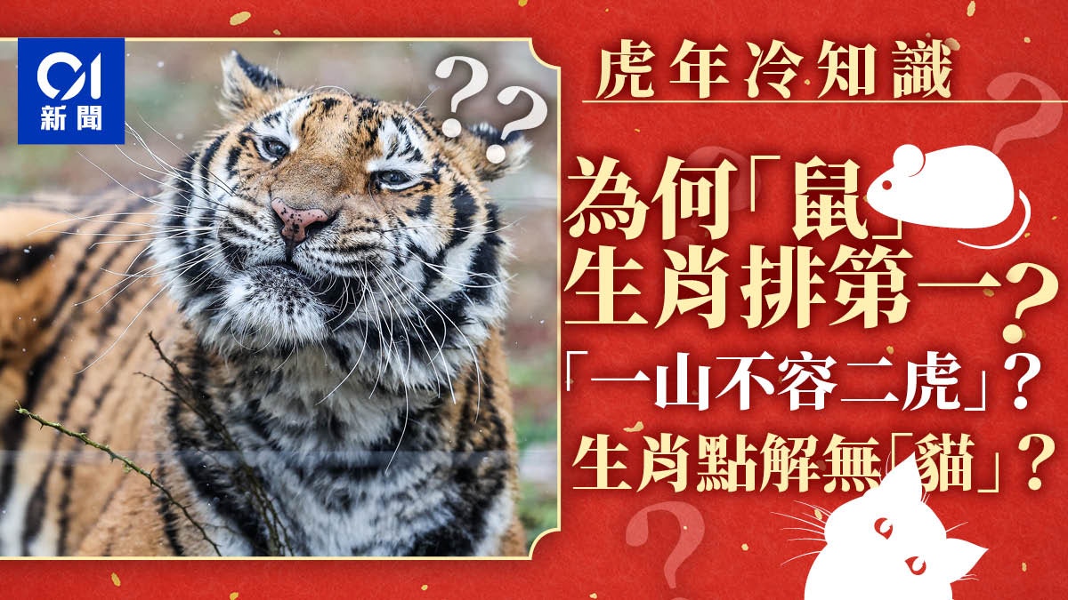 22虎年 冷知識 十二生肖排第三有深意一山真不能容二虎